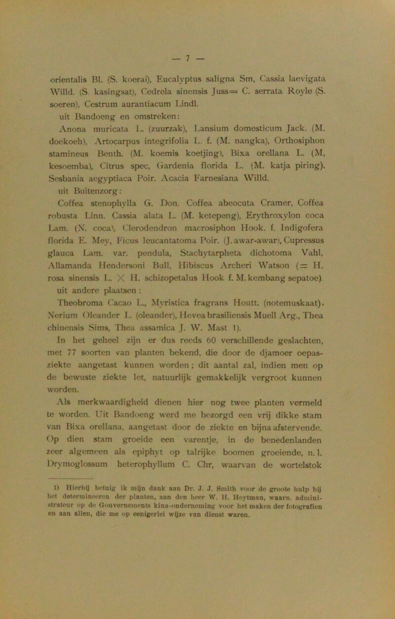 orientalis Rl. (S. koerai), Eucalyptus saligna Sm, Cassia laevigata Willd. (S kasingsat), Cedrela sinensis Juss= C. serrata Royle (S. soeren), Ccstrum aurantiacum Lindl. uit Bandoeng en omstreken: Anona muricata L. (zuurzak), Lansium domesticuin Jack. (M. doekoeh), Artocarpus integrifolia L. f. (M. nangka), Orthosiphon stamineus Benth. (M. koemis koetjing), Bixa orellana L. (M, kesoemba), Citrus spec, Gardenia florida L. (M. katja piring). Sesbania aegyptiaca Poir. Acacia Earnesiana Willd. uit Buitenzorg: Coffea stenophylla G. Don. Coffea abeocuta Cramer, Coffea robusta Linn. Cassia alata L. (M. ketepeng), Erythroxylon coca Lam. (X. coca', Clerodendron macrosiphon Hook. f. Indigofcra florida E. Mey, Ficus leucantatoma Poir. (J. awar-awar), Cupressus glauca Lam. var. pendula, Stachytarpheta dichotoma Vahl, Allamanda Hendersoni Buil, Hibiscus Archeri Watson (— H. rosa sinensis L. X H. schizopetalus I look f. M. kembang sepatoe) uit andere plaatsen : Theobroma Cacao L., Myristica fragrans Houtt. (notemuskaat). Nerium ()leander L. (oleander), Heveabrasiliensis Muell Arg., Thea chinensis Sims, Thea assamica J. W. Mast 1). In het geheel zijn er dus reeds 60 verschillende geslachten, met 77 soorten van planten bekend, die door de djamoer oepas- ziekte aangetast kunnen worden; dit aantal zal, indien men op de bewuste ziekte let, natuurlijk gemakkelijk vergroot kunnen worden. Als merkwaardigheid dienen hier nog twee planten vermeld te worden. Uit Bandoeng werd me bezorgd een vrij dikke stam van Bixa orellana, aangetast door de ziekte en bijna afstervende. Op dien stam groeide een varentje, in de benedenlanden zeer algemeen als epiphyt op talrijke booinen groeiende, n. 1. I )rymoglossum heterophyllum C. Chr, waarvan de wortelstok 1) Hierbij betuig ik mijn dank aan Dr. J. J. Smith voor de groote hulp bij het determineeron der planten, aan den heer W. H. Heytman, waarn. admini- strateur op de Gouvernement» kina-onderneming voor het maken der fotografien en aan allen, die me op eenigerlei wijze van dienst waren.