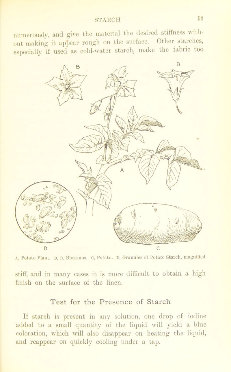 numerously, and give the material the desired stillness with- out making it appear rough on the surface. Other starches, especially if used as cold-water starch, make the fabric too D C A, Potato Plant. B, B, Blossoms, c, Potato. D, Granules of Potato Starch, magnified stiff, and in many cases it is more difficult to obtain a high finish on the surface of the linen. Test for the Presence of Starch If starch is present in any solution, one drop of iodine added to a small quantity of the liquid will yield a blue coloration, which will also disappear on heating the liquid, and reappear on quickly cooling under a tap.