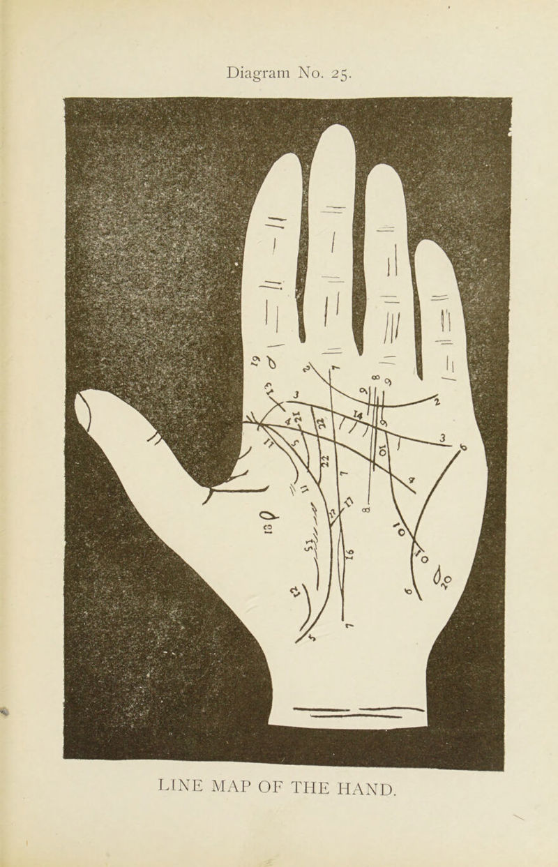 Diagram No. 25. LINE MAP OF THE HAND.