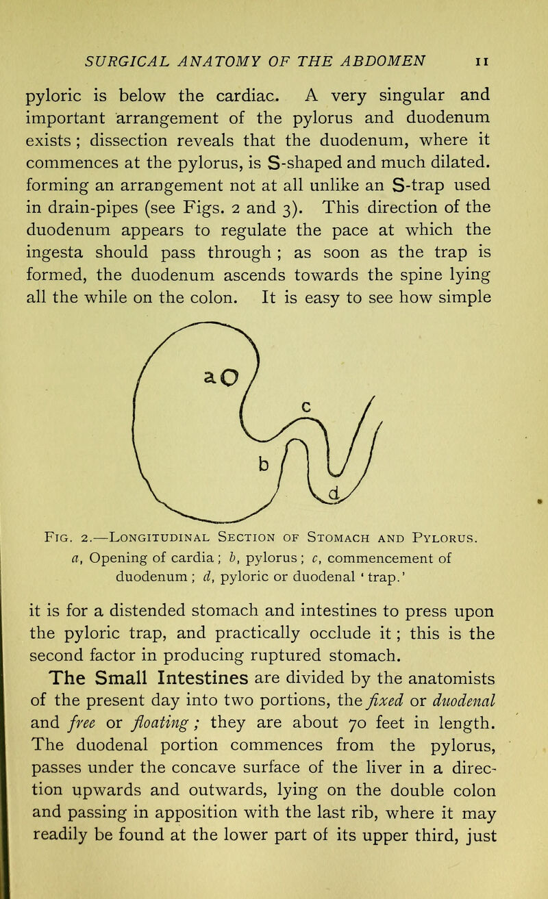 pyloric is below the cardiac. A very singular and important arrangement of the pylorus and duodenum exists ; dissection reveals that the duodenum, where it commences at the pylorus, is S-shaped and much dilated, forming an arrangement not at all unlike an S-trap used in drain-pipes (see Figs. 2 and 3). This direction of the duodenum appears to regulate the pace at which the ingesta should pass through ; as soon as the trap is formed, the duodenum ascends towards the spine lying all the while on the colon. It is easy to see how simple Fig. 2.—Longitudinal Section of Stomach and Pylorus. a, Opening of cardia ; b, pylorus ; c, commencement of duodenum ; d, pyloric or duodenal ‘ trap.’ it is for a distended stomach and intestines to press upon the pyloric trap, and practically occlude it; this is the second factor in producing ruptured stomach. The Small Intestines are divided by the anatomists of the present day into two portions, the fixed or duodenal and free or floating; they are about 70 feet in length. The duodenal portion commences from the pylorus, passes under the concave surface of the liver in a direc- tion upwards and outwards, lying on the double colon and passing in apposition with the last rib, where it may readily be found at the lower part of its upper third, just