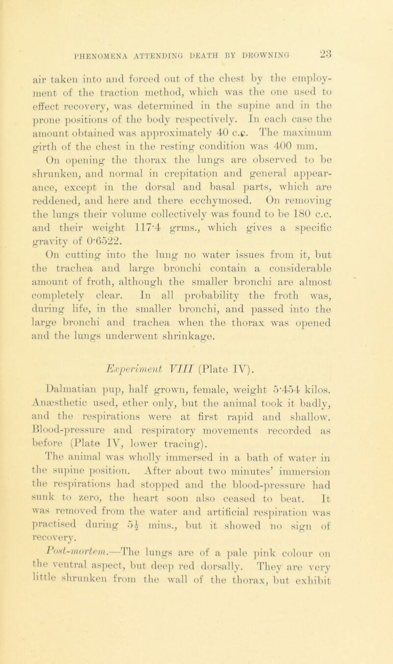 air taken into and forced out of the chest by the employ- ment of the traction method, which was the one used to effect recovery, was determined in the supine and in the prone positions of the body respectively. In eacli case the amount obtained was approximately 40 c.c. The maximum girth of the chest in the resting condition was 400 mm. On opening* the thorax the lungs are observed to be shrunken, and normal in crepitation and general appear- ance, except in the dorsal and basal parts, which are reddened, and here and there ecchymosed. On removing the lungs their volume collectively was found to be 180 c.c. and their weight 117*4 grins., which gives a specific gravity of 0*6522. On cutting into the lung no water issues from it, but the trachea and large bronchi contain a considerable amount of froth, although the smaller bronchi are almost completely clear. In all probability the froth was, during life, in the smaller bronchi, and passed into the large bronchi and trachea when the thorax was opened and the lungs underwent shrinkage. O o Experiment VIII (Plate IV). Dalmatian pup, half grown, female, weight 5*454 kilos. Anaesthetic used, ether only, but the animal took it badly, and the respirations were at first rapid and shallow. Blood-pressure and respiratory movements recorded as before (Plate IV, lower tracing). The animal was wholly immersed in a bath of water in the supine position. After about two minutes* immersion the respirations had stopped and the blood-pressure had sunk to zero, the heart soon also ceased to beat. It was removed from the water and artificial respiration was practised during 5£ mins., but it showed no sign of recovery. Post-mortem.—The lungs are of a pale pink colour on the ventral aspect, but deep red dorsally. They are very little shrunken from the wall of the thorax, but exhibit