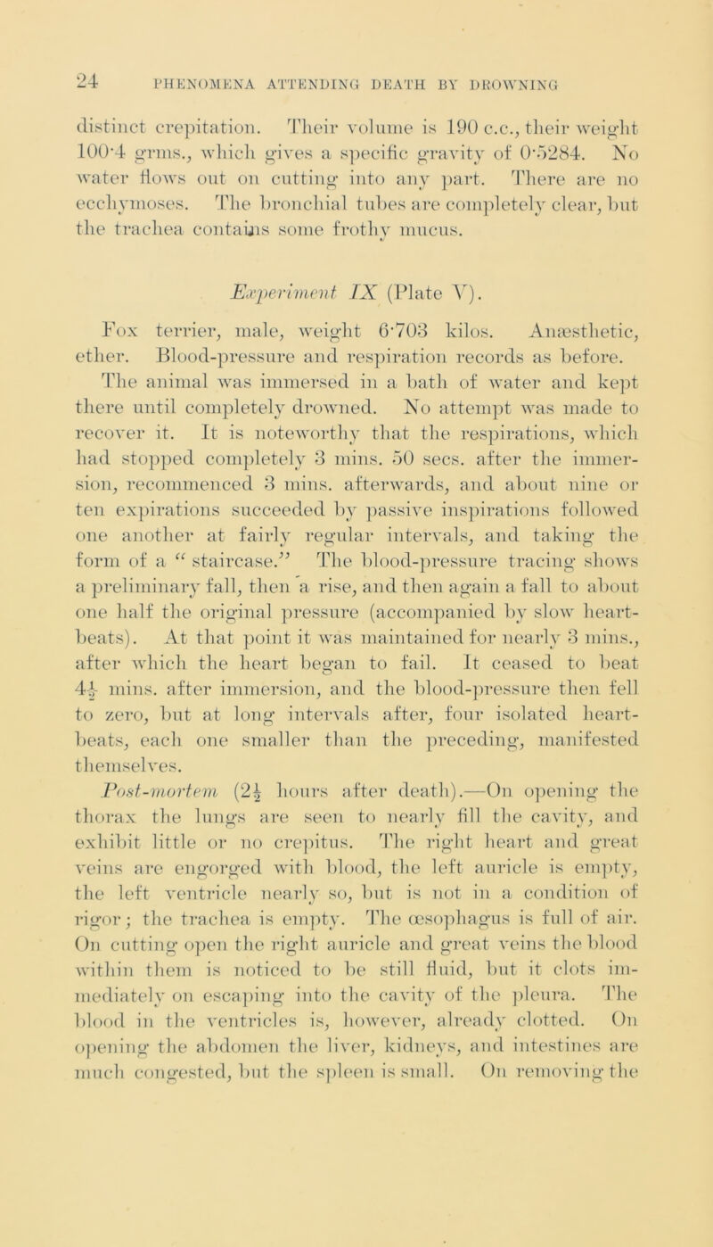 distinct crepitation. Their volume is 190 c.c., their weight 100-4 grms., which gives a specific gravity of 0*5284. No water flows out on cutting into any part. There are no eccliymoses. The bronchial tubes are completely clear, but the trachea contains some frothy mucus. Experiment IX (Plate V). Fox terrier, male, weight 6'703 kilos. Anaesthetic, ether. Blood-pressure and respiration records as before. The animal was immersed in a bath of water and kept there until completely drowned. No attempt was made to recover it. It is noteworthy that the respirations, which had stopped completely 3 mins. 50 secs, after the immer- sion, recommenced 3 mins, afterwards, and about nine or ten expirations succeeded by passive inspirations followed one another at fairly regular intervals, and taking the form of a “ staircase.” The blood-pressure tracing shows a preliminary fall, then a rise, and then again a fall to about one half the original pressure (accompanied by slow heart- beats). At that point it was maintained for nearly 3 mins., after which the heart began to fail. It ceased to beat 4-4 mins, after immersion, and the blood-pressure then fell to zero, but at long intervals after, four isolated heart- beats, each one smaller than the preceding, manifested themselves. Post-mortem (2| hours after death).—On opening the thorax the lungs are seen to nearly fill the cavity, and exhibit little or no crepitus. The right heart and great veins are engorged with blood, the left auricle is empty, the left ventricle nearly so, but is not in a condition of rigor; the trachea is empty. The oesophagus is full of air. On cutting open the right auricle and great veins the blood within them is noticed to be still fluid, but it clots im- mediately on escaping into the cavity of the pleura. The blood in the ventricles is, however, already clotted. On opening the abdomen the liver, kidneys, and intestines are much congested, but the spleen is small. On removing the