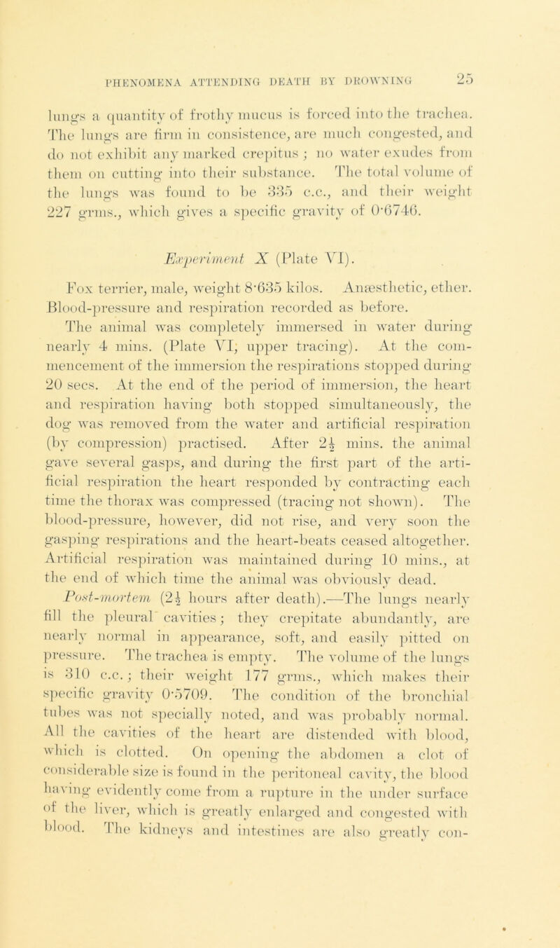 lungs a quantity of frothy mucus is forced into the trachea. The lungs are firm in consistence, are much congested, and do not exhibit any marked crepitus ; no water exudes from them on cutting into their substance. The total volume of the lungs was found to be 335 c.c., and their weight 227 grins., which gives a specific gravity of 06746. Experiment X (Plate YI). Fox terrier, male, weight 8*635 kilos. Anaesthetic, ether. Blood-pressure and respiration recorded as before. The animal was completely immersed in water during nearly 4 mins. (Plate YI; upper tracing). At the com- mencement of the immersion the respirations stopped during 20 secs. At the end of the period of immersion, the heart and respiration having both stopped simultaneously, the dog was removed from the water and artificial respiration (by compression) practised. After 2| mins, the animal gave several gasps, and during the first part of the arti- ficial respiration the heart responded by contracting each time the thorax was compressed (tracing not shown). The blood-pressure, however, did not rise, and very soon the gasping respirations and the heart-beats ceased altogether. Artificial respiration was maintained during 10 mins., at the end of which time the animal was obviously dead. Po^t-mortem (2^ hours after death).—The lungs nearly fill the pleural cavities; they crepitate abundantly, are nearly normal in appearance, soft, and easily pitted on pressure. The trachea is empty. The volume of the lungs is 310 c.c.; their weight 177 gnus., which makes their specific gravity 0*5709. The condition of the bronchial tubes was not specially noted, and was probably normal. All the cavities of the heart are distended with blood, winch is clotted. On opening the abdomen a clot of considerable size is found in the peritoneal cavity, the blood having evidently come from a rupture in the under surface of the liver, which is greatly enlarged and congested with blood. The kidneys and intestines are also greatly con-