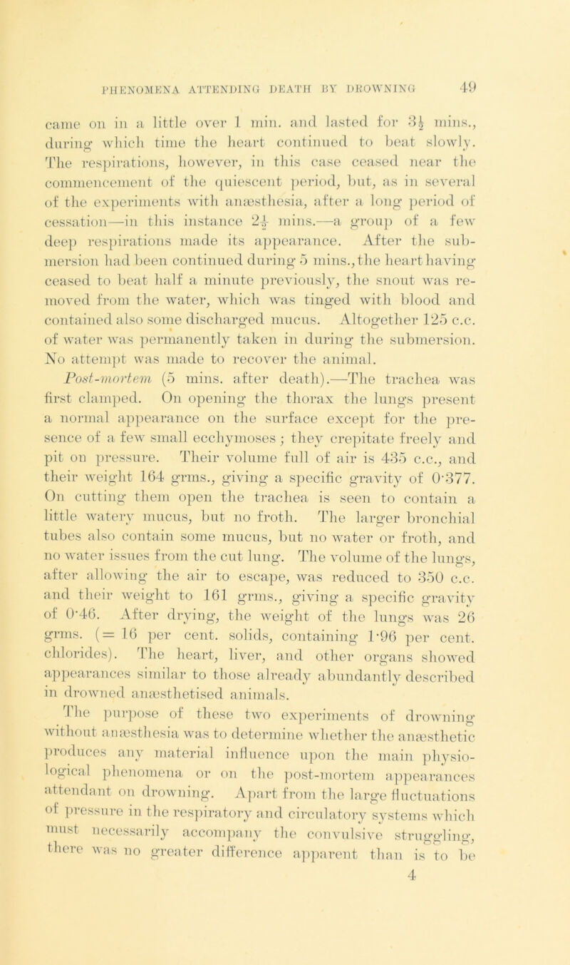 came on in a little over 1 min. and lasted for 3£ mins., during which time the heart continued to beat slowly. The respirations, however, in this case ceased near the commencement of the quiescent period, but, as in several of the experiments with anaesthesia, after a long period of cessation—in this instance 2-4 mins.—a group of a few deep respirations made its appearance. After the sub- mersion had been continued during 5 mins., the heart having ceased to beat half a minute previously, the snout was re- moved from the water, which was tinged with blood and contained also some discharged mucus. Altogether 125 c.c. of water was permanently taken in during the submersion. No attempt was made to recover the animal. Post-mortem (5 mins, after death).—The trachea was first clamped. On opening the thorax the lungs present a normal appearance on the surface except for the pre- sence of a few small ecehymoses ; they crepitate freely and pit on pressure. Their volume full of air is 435 c.c., and their weight 164 grins., giving a specific gravity of 0377. On cutting them open the trachea is seen to contain a little watery mucus, but no froth. The larger bronchial tubes also contain some mucus, but no water or froth, and no water issues from the cut lung. The volume of the lungs, after allowing the air to escape, was reduced to 350 c.c. and their weight to 161 grins., giving a specific gravity of 0'46. After drying, the weight of the lungs was 26 grins. (= 16 per cent, solids, containing 1*96 per cent, chlorides). The heart, liver, and other organs showed appearances similar to those already abundantly described m drowned anaesthetised animals. I he purpose of these two experiments of drowning without anaesthesia was to determine whether the anaesthetic produces any material influence upon the main physio- logical phenomena or on the post-mortem appearances attendant on drowning. Apart from the large fluctuations of pressure in the respiratory and circulatory systems which must necessarily accompany the convulsive struggling, there was no greater difference apparent than is to be 4