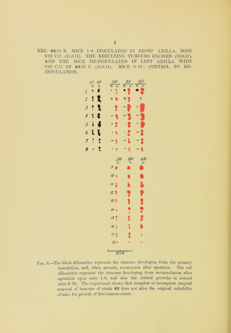 EXP. 63/52 E. MICE 1-8 INOCULATED IN EIGHT AXILLA, DOSE 002 C.C. (31.8.11). THE RESULTING TUMOURS EXCISED (19.9.11), AND THE MICE RE-INOCULATED IN LEFT AXILLA WITH 0 03 C.C. OF 63/53 C (21.9.11). MICE 9-18 : CONTROL TO RE- INOCULATION. H/9 18/9 2/10 9/iO 16/0 R. R. 'r.‘l: 'r. r r. l. / < $ ■: *? •? 2 « 1 t • * * } f 3 1 • l ? t 9 4 f # t * 1 5 • « 4 : : » 6 1 t •« : -i 7 t • • % -t -v 8 • ft • • # • # — # 1 • • 9/0 16/10 L 3 » • • 10 % 1 t • t 4 u « ? 13 • • \ t 14 • t • ft • ! * ♦ ? id; • • 1 ft ft t I3-! — — 1 . . . . 1 . - 10 CM. jrIGi 3.—The black silhouettes represent the tumours developing from the primary inoculation, and, when present, recurrences after operation. The red silhouettes represent the tumours developing from re-inoculation after operation upon mice 1-8, and also the control growths in normal mice 9-18. The experiment shows that complete or incomplete surgical removal of tumours of strain 63 does not alter the original suitability of mice for growth of this tumour-strain.