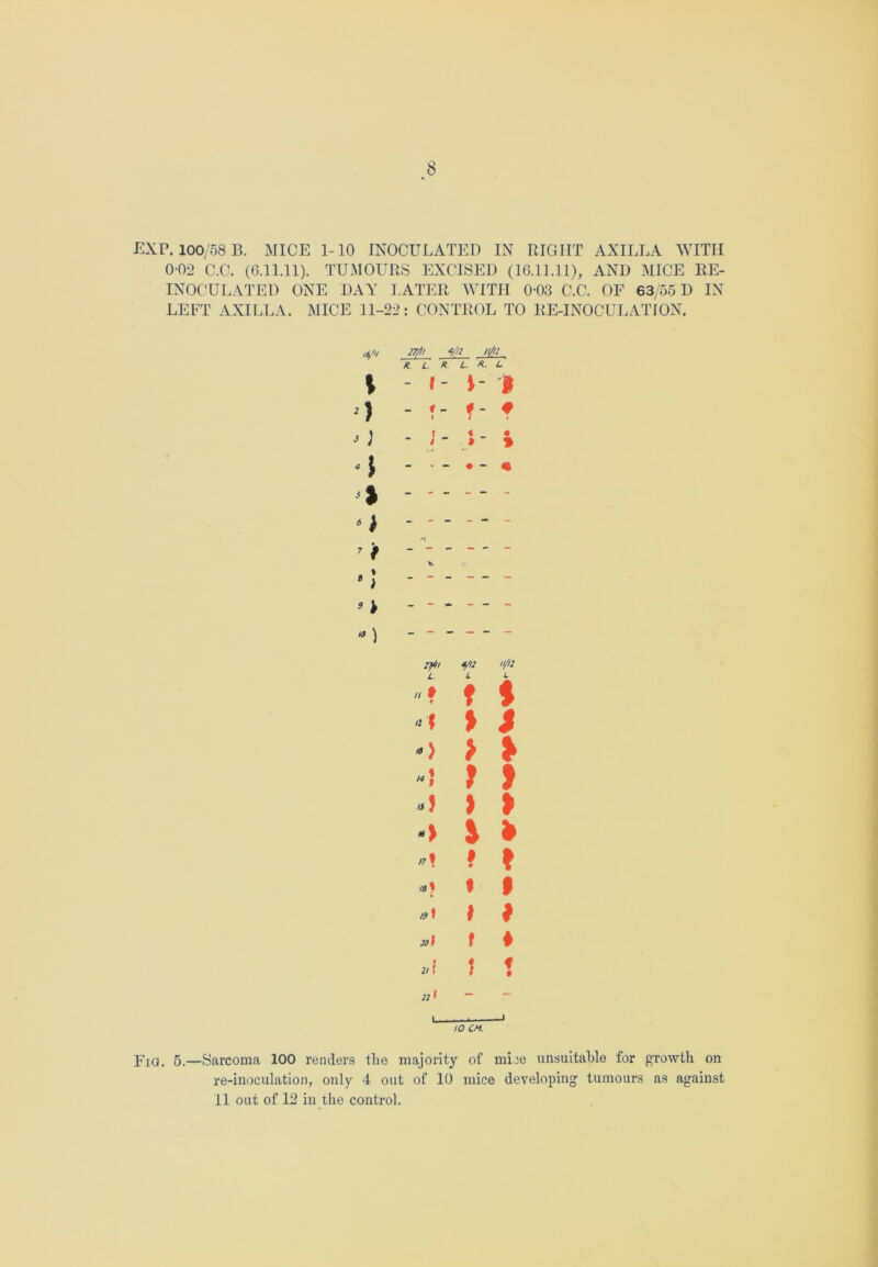 EXP. 100/58 B. MICE 1-10 INOCULATED IN RIGHT AXILLA WITH 0 02 C.C. (6.11.11). TUMOURS EXCISED (16.11.11), AND MICE RE- INOCULATED ONE DAY LATER WITH 0-03 C.C. OF 63/55 D IN LEFT AXILLA. MICE 11-22: CONTROL TO RE-INOCULATION. \ ) J ) * 7 i * 5 *) 27/h <>/n n/n tt. L. R L. R. L ~ \~ \ I - i - i f- f »_ ; 4 _ • • • * « A — - 7}ii L. 1/12 L // f 9 f i -1 > S o > * ) s) ) » 5 » 27% 1 9 » 78} 1 1 t$) # # 201 f ♦ 2/ ! J f • 22 < , i tO CM. Fia. 5.—Sarcoma 100 renders the majority of mice unsuitable for growth on re-inoculation, only 4 out of 10 mice developing tumours as against 11 out of 12 in the control.