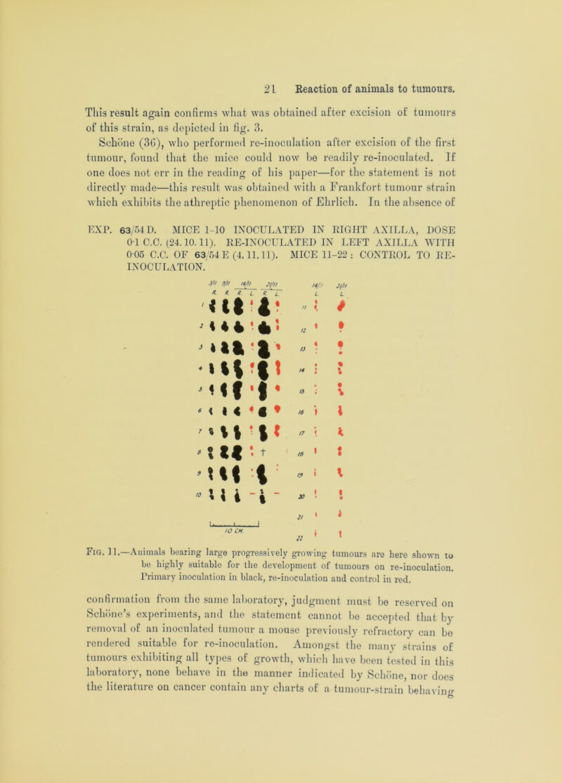 This result again confirms what was obtained after excision of tumours of this strain, as depicted in fig. 3. Schbne (36), who performed re-inoculation after excision of the first tumour, found that the mice could now be readily re-inoculated. If one does not err in the reading of his paper—for the statement is not directly made—this result was obtained with a Frankfort tumour strain which exhibits the athreptic phenomenon of Ehrlich. In the absence of EXP. 63/54 D. MICE 1-10 INOCULATED IN LIGHT AXILLA, DOSE 0-1 C.C. (24.10.11). RE-INOCULATED IN LEFT AXILLA WITH 0 05 C.C. OF 63/54 E (4.11.11). MICE 11-22: CONTROL TO RE- INOCULATION. A 9/ 14/1 ! 21/11 ,4/7 2 I/I I X X UT h ‘ L.' L. L <i|*4* : * ♦ **■*’• - * n||l> -! ! ' i i J M f ‘ f * « :■ \ m in* * i »  ? i 8 ® £ £ « t 18 • »tif t -i » • U i 4 ' * ! '• Fig. 11.—Animals bearing large progressively growing tumours are here shown to be highly suitable for the development of tumours on re-inoculation. Primary inoculation in black, re-inoculation and control in red. confirmation from the same laboratory, judgment must be reserved on Schone’s experiments, and the statement cannot be accepted that by removal of an inoculated tumour a mouse previously refractory can be rendered suitable for re-inoculation. Amongst the many strains of tumours exhibiting all types of growth, which have been tested in this laboratory, none behave in the manner indicated by Schone, nor does the literature on cancer contain any charts of a tumour-strain behaving