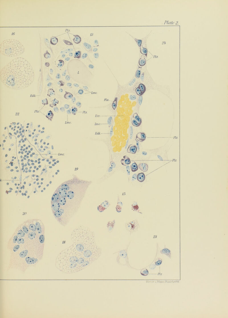 m. in 22 folk. Qti ; v. • V *. 'j — :'~Lmc 0 & -PP ( ■ • ••• ... . -* pi-/.:. *. *S> Plz. Ere Live folk ► T ■ « n ,.•«. ' • > ■-■. ’ , * fl ••; « %■; <■■■■ • 4 ' 1/ . ftVrr-- • Winter: JrartkftaiWf.