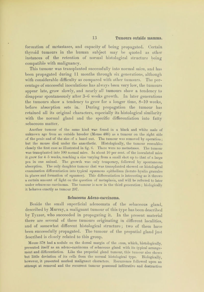 formation of metastases, and capacity of being propagated. Certain thyroid tumours in the human subject may be quoted as other instances of the retention of normal histological structure beino- compatible with malignancy. This tumour was transplanted successfully into normal mice, and has been propagated during 11 months through six generations, although with considerable difficulty as compared with other tumours. The per- centage of successful inoculations has always been very low, the tumours appear late, grow slowly, and nearly all tumours show a tendency to disappear spontaneously after 3-G weeks growth. In later generations the tumours show a tendency to grow for a longer time, 8-10 weeks, before absorption sets in. During propagation the tumour has retained all its original characters, especially its histological similarity with the normal gland and the specific differentiation into fatty sebaceous matter. Another tumour of the same kind was found in a black and white male of unknown age from an outside breeder (Mouse 466) as a tumour on the right side of the penis and of the size of a hazel nut. The tumour was removed by operation ; but the mouse died under the anaesthetic. Histologically, the tumour resembles closely the first case as illustrated in fig. 6. There were no metastases. The tumour was transplanted into ]00 normal mice. In about 10 per cent, of the inoculated mice it grew for 4-5 weeks, reaching a size varying from a small shot up to that of a large pea in one animal. The growth was only temporary, followed by spontaneous absorption. The only daughter tumour that was transplanted showed on histological examination differentiation into typical squamous epithelium (kerato-hyalin granules in places and formation of squames). This differentiation is interesting as it throws a certain amount of light on the question of metaplasia, and will be referred to later under sebaceous carcinoma. The tumour is now in the third generation ; biologically it behaves exactly as tumour 297. Sebaceous Adeno-carcinonia. Beside the small superficial adenomata of the sebaceous xdand. described by Murray, a malignant tumour of this type has been described by Tyzzer, who succeeded in propagating it. In the present material there are several of these tumours originating in different localities, and of somewhat different histological structure; two of them have been successfully propagated. The tumour of the preputial gland just described is closely related to this group. Mouse 378 had a nodule on the dorsal margin of the anus, which, histologicallv. presented itself as an adeno-carcinoma of sebaceous gland with its typical arrange- ment and differentiation. Like the preputial gland tumour, this tumour also shows but little deviation of its cells from the normal histological type. Biologically, however, it presented marked malignant characters. Recurrence followed upon an attempt at removal and the recurrent tumour possessed infiltrative and destructive
