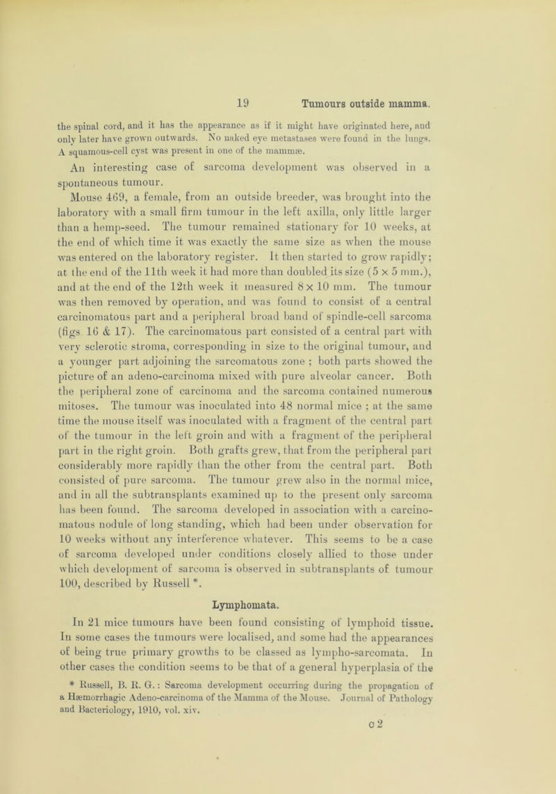 the spiual cord, and it has the appearance as if it might have originated here, aud only later have grown outwards. No naked eye metastases were found in the lungs. A squamous-cell cyst was present in one of the mammae. An interesting ease ot’ sarcoma development was observed in a spontaneous tumour. Mouse 469, a female, from an outside breeder, was brought into the laboratory with a small firm tumour in the left axilla, only little larger than a hemp-seed. The tumour remained stationary for 10 weeks, at the end of which time it was exactly the same size as when the mouse was entered on the laboratory register. It then started to grow rapidly; at the end of the lltli week it had more than doubled its size (5x5 mm.), and at the end of the 12th week it measured 8 x 10 mm. The tumour was then removed by operation, and was found to consist of a central carcinomatous part and a peripheral broad band of spindle-cell sarcoma (figs 16 & 17). The carcinomatous part consisted of a central part with very sclerotic stroma, corresponding in size to the original tumour, and a younger part adjoining the sarcomatous zone ; both parts showed the picture of an adeno-carcinoma mixed with pure alveolar cancer. Both the peripheral zone of carcinoma and the sarcoma contained numerous mitoses. The tumour was inoculated into 48 normal mice ; at the same time the mouse itself was inoculated with a fragment of the central part of the tumour in the left groin and with a fragment of the peripheral part in the right groin. Both grafts grew, that from the peripheral part considerably more rapidly than the other from the central part. Both consisted of pure sarcoma. The tumour grew also in the normal mice, and in all the subtransplants examined up to the present only sarcoma has been found. The sarcoma developed in association with a carcino- matous nodule of long standing, which had been under observation for 10 weeks without any interference whatever. This seems to be a case of sarcoma developed under conditions closely allied to those under which development of sarcoma is observed in subtransplants of tumour 100, described by Russell *. Lymphomata. In 21 mice tumours have been found consisting of lymphoid tissue. In some cases the tumours were localised, and some had the appearances of being true primary growths to be classed as lympho-sarcomata. In other cases the condition seems to be that of a general hyperplasia of the * Russell, B. R. G. : Sarcoma development occurring during the propagation of a Haemorrhagic Adeno-carcinoma of the Mamma of the Mouse. Journal of Pathology and Bacteriology, 1910, vol. xiv. O 2