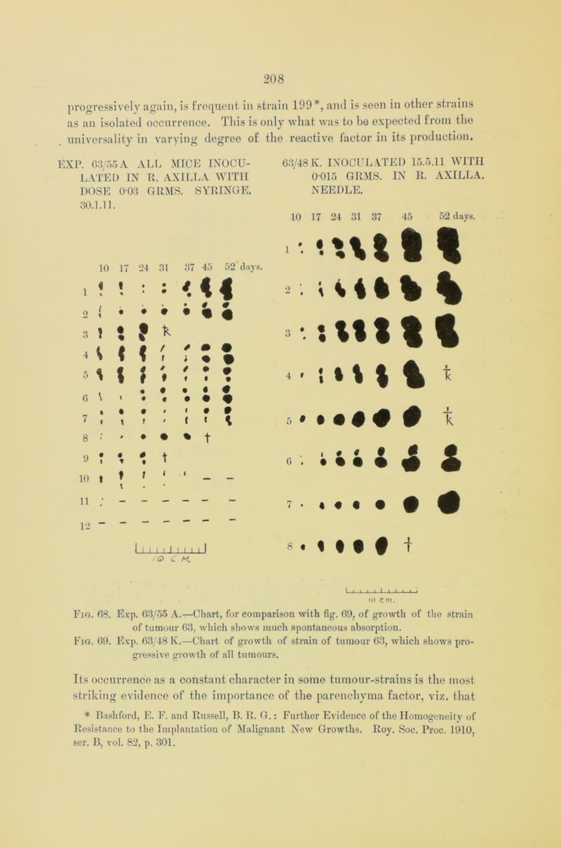 progressively again, is frequent in strain 199*, and is seen in other strains as an isolated occurrence. This is only what was to be expected from the universality in varying degree of the reactive factor in its production. EXP. 63/55A ALL MICE INOCU- LATED IN R. AXILLA WITH DOSE 003 GRMS. SYRINGE. 30.1.11. 10 17 24 31 37 45 52 1 « « * • • • • / • 44 1 < . • • 4 0 2 • • # • % * 3 t • 9 4 0 0 / m • 4 % f 1 1 i • 5 % % 4 t t 9 / ( • • • • \ « • • • 6 i • • • • • • • t 1 4 • 7 1 \ l / t t 8 f • • % t 9 • t « t 4 • t 10 » t i t _ 11 t 1 12 » — — — — — - 1 i i i i l i i i i 1 >Q C M. 63/48 K. INOCULATED 15.5.11 WITH 0015 GRMS. IN R. AXILLA. NEEDLE. 10 17 24 31 37 45 52 clays. •ut 11 ■ • :tttt I ■ •.»\ % % . >»••### k • • • • # £ « « « • 8 • % • • f t l 1 1 I 1 1 1 1 1 » » io cm. Fig. 68. Exp. 63/56 A.—Chart, for comparison with fig. 69, of growth of the strain of tumour 63, which shows much spontaneous absorption. Fig. 69. Exp. 63/48 K.—Chart of growth of strain of tumour 63, which shows pro- gressive growth of all tumours. Its occurrence as a constant character in some tumour-strains is the most striking evidence of the importance of the parenchyma factor, viz. that * Bashford, E. F. and Russell, B. R. G.: Further Evidence of the Homogeneity of Resistance to the Implantation of Malignant New Growths. Roy. Soc. Proc. 1910, ser. B, vol. 82, p. 301.