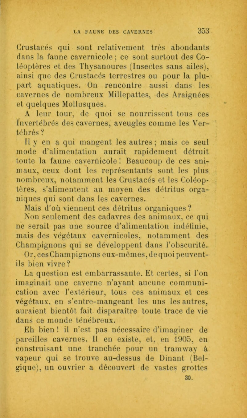 Crustacés qui sont relativement très abondants dans la faune cavernicole; ce sont surtout des Co- léoptères et des Thysanoures (Insectes sans ailes), ainsi que des Crustacés terrestres ou pour la plu- part aquatiques. On rencontre aussi dans les cavernes de nombreux Millepattes, des Araignées et quelques Mollusques. A leur tour, de quoi se nourrissent tous ces Invertébrés des cavernes, aveugles comme les Ver- tébrés ? Il y en a qui mangent les autres; mais ce seul mode d’alimentation aurait rapidement détruit toute la faune cavernicole ! Beaucoup de ces ani- maux, ceux dont les représentants sont les plus nombreux, notamment les Crustacés et les Coléop- tères, s’alimentent au moyen des détritus orga- niques qui sont dans les cavernes. Mais d’où viennent ces détritus organiques ? Aon seulement des cadavres des animaux, ce qui ne serait pas une source d’alimentation indélinie, mais des végétaux cavernicoles, notamment des Champignons qui se développent dans l’obscurité. Or. ces Champignons eux-mêmes, de quoi peuvent- ils bien vivre? La question est embarrassante. Et certes, si l’on imaginait une caverne n’ayant aucune communi- cation avec l’extérieur, tous ces animaux et ces végétaux, en s’entre-mangeant les uns les autres, auraient bientôt fait disparaître toute trace de vie dans ce monde ténébreux. Eh bien ! il n’est pas nécessaire d’imaginer de pareilles cavernes. Il en existe, et, en 1905, en construisant une tranchée pour un tramway à vapeur qui se trouve au-dessus de Dinant (Bel- gique), un ouvrier a découvert de vastes grottes 30.