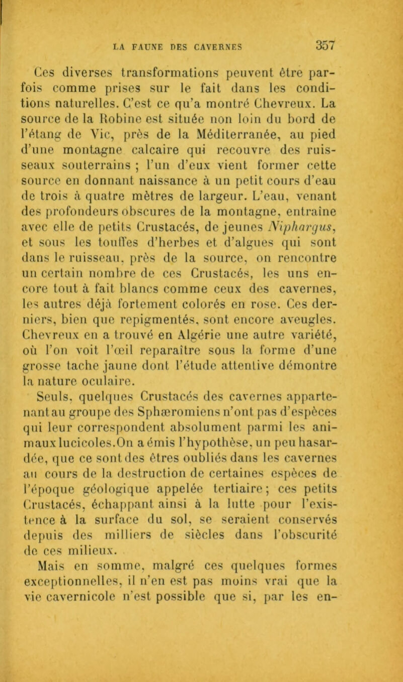 Ces diverses transformations peuvent être par- fois comme prises sur le fait dans les condi- tions naturelles. C’est ce qu’a montré Chevreux. La source de la Robine est située non loin du bord de l’étang de Vie, près de la Méditerranée, au pied d’une montagne calcaire qui recouvre des ruis- seaux souterrains ; l’un d’eux vient former cette source en donnant naissance à un petit cours d’eau de trois à quatre mètres de largeur. L’eau, venant des profondeurs obscures de la montagne, entraîne avec elle de petits Crustacés, de jeunes Niphargus, et sous les touffes d’herbes et d’algues qui sont dans le ruisseau, près de la source, on rencontre un certain nombre de ces Crustacés, les uns en- core tout à fait blancs comme ceux des cavernes, les autres déjà fortement colorés en rose. Ces der- niers, bien que repigmentés, sont encore aveugles. Chevreux en a trouvé en Algérie une autre variété, où l’on voit l’œil reparaître sous la forme d’une grosse tache jaune dont l’étude attentive démontre la nature oculaire. Seuls, quelques Crustacés des cavernes apparte- nant au groupe des Sphæromiens n’ont, pas d’espèces qui leur correspondent absolument parmi les ani- maux lucicoles.On a émis l'hypothèse, un peu hasar- dée, que ce sontdes êtres oubliés dans les cavernes au cours de la destruction de certaines espèces de l’époque géologique appelée tertiaire ; ces petits Crustacés, échappant ainsi à la lutte pour l’exis- tence à la surface du sol, se seraient conservés depuis des milliers de siècles dans l’obscurité de ces milieux. Mais en somme, malgré ces quelques formes exceptionnelles, il n’en est pas moins vrai que la vie cavernicole n’est possible que si, par les en-