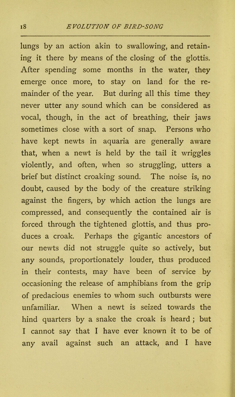 lungs by an action akin to swallowing, and retain- ing it there by means of the closing of the glottis. After spending some months in the water, they emerge once more, to stay on land for the re- mainder of the year. But during all this time they never utter any sound which can be considered as vocal, though, in the act of breathing, their jaws sometimes close with a sort of snap. Persons who have kept newts in aquaria are generally aware that, when a newt is held by the tail it wriggles violently, and often, when so struggling, utters a brief but distinct croaking sound. The noise is, no doubt, caused by the body of the creature striking against the fingers, by which action the lungs are compressed, and consequently the contained air is forced through the tightened glottis, and thus pro- duces a croak. Perhaps the gigantic ancestors of our newts did not struggle quite so actively, but any sounds, proportionately louder, thus produced in their contests, may have been of service by occasioning the release of amphibians from the grip of predacious enemies to whom such outbursts were unfamiliar. When a newt is seized towards the hind quarters by a snake the croak is heard ; but I cannot say that I have ever known it to be of any avail against such an attack, and I have