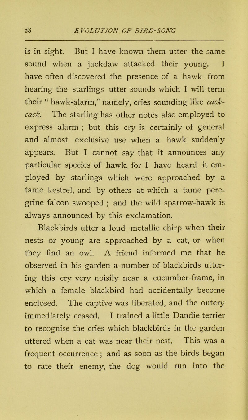 is in sight But I have known them utter the same sound when a jackdaw attacked their young. I have often discovered the presence of a hawk from hearing the starlings utter sounds which I will term their “ hawk-alarm,” namely, cries sounding like cack- cack. The starling has other notes also employed to express alarm ; but this cry is certainly of general and almost exclusive use when a hawk suddenly appears. But I cannot say that it announces any particular species of hawk, for I have heard it em- ployed by starlings which were approached by a tame kestrel, and by others at which a tame pere- grine falcon swooped ; and the wild sparrow-hawk is always announced by this exclamation. Blackbirds utter a loud metallic chirp when their nests or young are approached by a cat, or when they find an owl. A friend informed me that he observed in his garden a number of blackbirds utter- ing this cry very noisily near a cucumber-frame, in which a female blackbird had accidentally become enclosed. The captive was liberated, and the outcry immediately ceased. I trained a little Dandie terrier to recognise the cries which blackbirds in the garden uttered when a cat was near their nest. This was a frequent occurrence ; and as soon as the birds began to rate their enemy, the dog would run into the