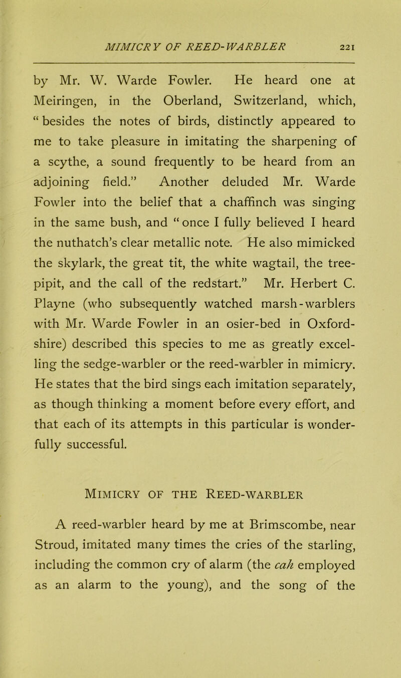by Mr. W. Warde Fowler. He heard one at Meiringen, in the Oberland, Switzerland, which, “ besides the notes of birds, distinctly appeared to me to take pleasure in imitating the sharpening of a scythe, a sound frequently to be heard from an adjoining field.” Another deluded Mr. Warde Fowler into the belief that a chaffinch was singing in the same bush, and “ once I fully believed I heard the nuthatch’s clear metallic note. He also mimicked the skylark, the great tit, the white wagtail, the tree- pipit, and the call of the redstart.” Mr. Herbert C. Playne (who subsequently watched marsh-warblers with Mr. Warde Fowler in an osier-bed in Oxford- shire) described this species to me as greatly excel- ling the sedge-warbler or the reed-warbler in mimicry. He states that the bird sings each imitation separately, as though thinking a moment before every effort, and that each of its attempts in this particular is wonder- fully successful. Mimicry of the Reed-warbler A reed-warbler heard by me at Brimscombe, near Stroud, imitated many times the cries of the starling, including the common cry of alarm (the cah employed as an alarm to the young), and the song of the