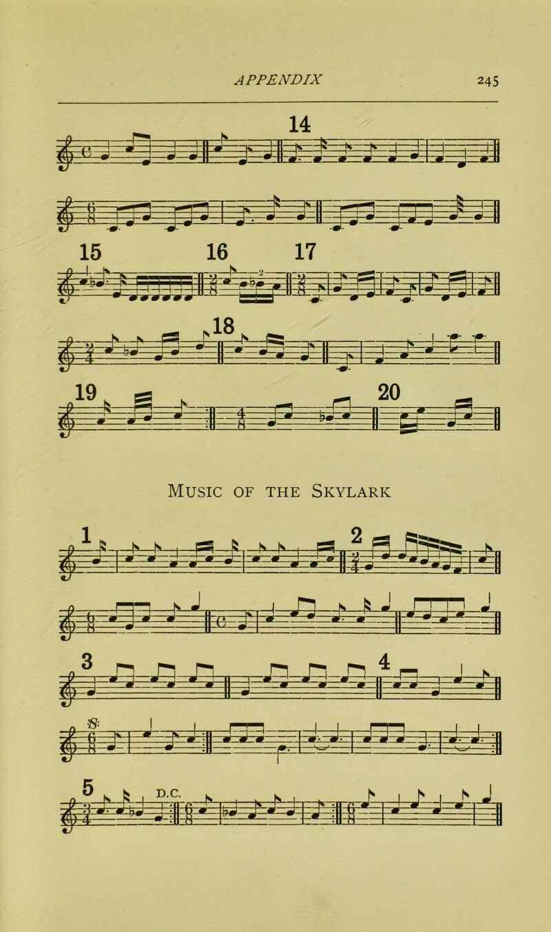 Music of the Skylark O s , D.C. 1 =*= &=£=*=* £