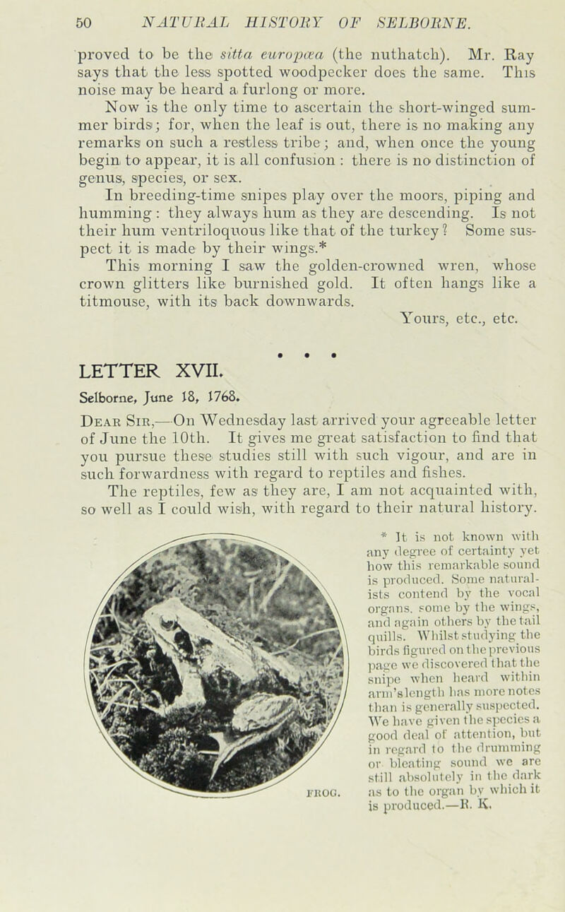 proved to be the sitta euroiJiea (the nuthatch). Mr. Ray says that the less, spotted woodpecker does the same. This noise may be heard a. furlong or more. Now is the only time to ascertain the short-winged sum- mer birds; for, when the leaf is out, there is no making any remarks on such a restless tribe; and, when once the young begin to appear, it is all confusion : there is no distinction of genus, species, or sex. In breeding-time snipes play over the moors, piping and humming : they always hum as they are descending. Is not their hum ventriloquous like that of the turkey ? Some sus- pect it is made by their wings.* This morning I saw the golden-crowned wren, whose crown glitters like burnished gold. It often hangs like a titmouse, with its back downwards. Yours, etc., etc. LETTER XVIL Selborne, June 18, 1768, Dear Sir,—On Wednesday last arrived your agreeable letter of June the 10th. It gives me gi'eat satisfaction to find that you pursue these studies still with such vigour, and are in such forwardness with regard to reptiles and fishes. The reptiles, few as they are, I am not acquainted with, so well as I could wish, with regard to their natural history. * It is not known with any degree of certainty yet how this remarkable sound is produced. Some natural- ists contend by the vocal organs. .=ome by the wings, and again others by the tail quills. tVliilst studying the birds figured on the previous ))agc we discovered that the snipe when heard within arm’slcngth has more notes than is generally suspected. We have given the species !v good de.'d of attention, but in regard to the drumming or bleating sound we are still absolutely in the dark as to tlie organ by which it is produced.—11. K.