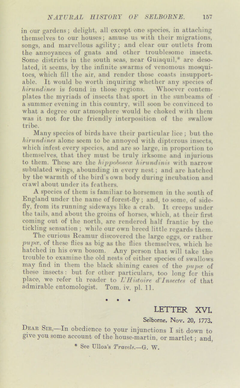 in our gardens; delight, all except one species, in attaching themselves to our houses; amuse us with their migrations, songs, and marvellous agility; and clear our outlets from the annoyances of gnats and other troublesome insects. Some districts in the south seas, near Guiaquil,* are deso- lated, it seems, by the infinite swarms of venomous mosqui- toes, which fill the air, and render those coasts insupport- able. It would be worth inquiring whether any species of hirundines is found in those regions. Whoever contem- plates the myriads of insects that sport in the sunbeams of a summer evening in this country, will soon be convinced to what a degree our atmosphere would be choked with them was it not for the friendly interposition of the swallow tribe. Many species of birds have their particular lice ; but tho hirundines alone seem to be annoyed with dipterous insects, which infest every .species, and are so large, in proportion to themselves, that they must be truly irksome and injurious to them. These arc the hijipithnsae hirundinis with narrow subulated wings, abounding in every nest; and arc hatched by the warmth of the bird’s own body during incubation and crawl about under its feathers. A species of them is familiar to horsemen in the south of England under the name of forest-fly ; and. to some, of side- fly, from its running sideways like a crab. It creeps under the tails, and about the groins of horses, which, at their first coming out of the north, are rendered half frantic by the tickling sensation ; while our own breed little regards them. The curious Rcamur discovered the large eggs, or rather pupfe, of these flies as big as the flics themselves, which he hatched in his own bosom. Any person that will take the trouble to examine the old nests of either species of swallows may find in them the black shining cases of the puper of these insects : but for other particulars, too long for this place, we refer th reader to I'Hisfnire d'Insectes of that admirable entomologist. Tom. iv. pi. 11. • • • LETTER XVL Selbornc, Nov. 20, J773, Dear Sir,—In obedience to your injunctions I sit dowm to give you some account of the house-martin, or martlet; and, * See Ulloa’s rrare^s.—G. W.