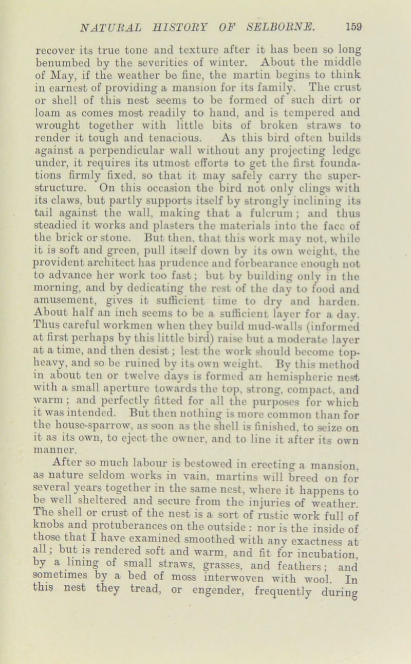 recover its true tone and texture after it has been so long benumbed by the severities of winter. About the middle of May, if the weather be fine, the martin begins to think in earnest of providing a mansion for its family. The crust or shell of this nest seems to be formed of such dirt or loam as comes most readily to hand, and is tempered and wrought together with little bits of broken straws to render it tough and tenacious. As this hir'd often builds against a perpendicular wall without any projecting ledge under, it requires its utmost efforts to get the fii'st founda- tions firmly fixed, so that it may safely carry the super- structure. On this occasion the bird not only clings with its claws, but partly supports itself by strongly inclining its tail against the wall, making that a fulcrum; and thus steadied it works and plasters the materials into the face of the brick or stone. But then, that this work may not. while it is soft and green, pull itself down by its own'weight, the provident architect has prudence and forbearance enough not to advance her work too fast; but by building only in the morning, and by dedicating the rest of the day to food and amusement, gives it sufficient time to dry and harden. About half an inch seems to bo a sufficient layer for a day. Thus careful workmen when they build mud-walls (informed at first perhaps by this little bird) raise but a moderate layer at a time, and then desist; lest the work should become top- heavy, and so be ruined by its own weight. By this method in about ten or twelve days is formed an hemispheric ne.9t with a small aperture towards the top. strong, compact, and warm; and perfectly fitted for all the purposes for which it was intended. But then nothing is more common than for the house-sparrow, as soon as the shell is finished, to seize on it as its own, to eject the owner, and to line it after its own manner. After so much laboiu- is bestowed in erecting a mansion, as nature seldom works in vain, martins will breed on for several years together in the same nest, where it happens to be well sheltered and secure from the injuries of weather. The shell or crust of the nest is a sort of rustic work full of knobs and protuberances on the outside : nor is the inside of those that I have examined smoothed with any exactness at all; but is rendered soft and warm, and fit for incubation, by a lining of small straws, grasses, and feathers; and sometimes by a bed of moss interwoven with wool. In this nest they tread, or engender, frequently during