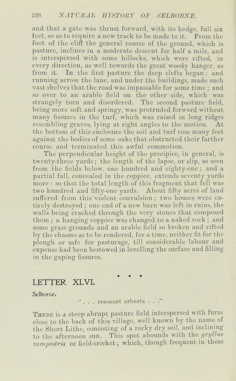 and that a gate was thrust forward, with its hedge, full six feet, so as to require a new track to be made to it. From the foot of the cliff the general course of the ground, which is pasture, inclines in a moderate descent for half a mile, and IS interspersed with some hillocks, which were rifted, in every direction, as well towards the great woody hanger, as from it. In the first pasture the deep clefts began : and running across the lane, and under the buildings, made such vast shelves that the road was impassable for some time; and so over to an arable field on the other side, which was strangely torn and disordered. The second pasture field, being more soft and springy, was protruded forward without many fissiires in the turf, which was raised in long ridges resembling gi*aves, lying at right angles to the motion. At the bottom of this enclosure the soil and turf rose many feet against the bodies of some oaks that obstructed their farther course and terminated this awful commotion. The perpendicular height of the precipice, in general, is twenty-three yards; the length of the lapse, or slip, as seen from the fields below, one hundred and eighty-one; and a partial fall, concealed in the coppice, extends seventy yards more : so that the total length of this fragment that fell was two hundred and fifty-one yards. About fifty acres of land suffered from this violent convulsion; two houses were en- tirely destroyed ; one end of a new barn was left in ruins, the walls being cracked through the very stones that composed them ; a hanging coppice was changed to a naked rock ; and some grass grounds and an arable field so broken and rifted by the chasms as to be rendered, for a time, neither fit for the plough or safe for pasturage, till considerable labour and expense had been bestowed in levelling the surface and filling in the gaping fissures. LETTER XLVL Selborne. “ . . . resonant arhnsta . . .” There is a steep abrupt pasture field interspersed with furze close to the back of this village, well known by the name of the Short Lithe, consisting of a rocky dry soil, and inclining to the afternoon sun. This spot abounds with the (/njUm campestris or field-cricket; which, though frequent in these