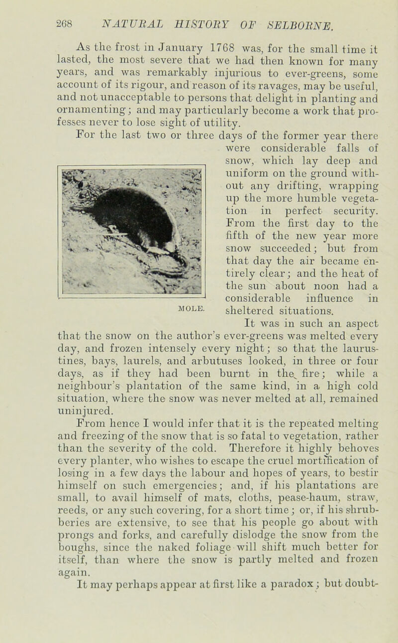 As the frost in January 1768 was, for the small time it lasted, the most severe that we had then known for many years, and was remarkably injurious to evei'-greens, some account of its rigour, and reason of its ravages, may be useful, and not unacceptable to persons that delight in planting and ornamenting; and may particularly become a work that pro- fesses never to lose sight of utility. For the last two or three days of the former year there were considerable falls of snow, which lay deep and uniform on the ground with- out any drifting, wrapping up the more humble vegeta- tion in perfect security. From the first day to the fifth of the new year more snow succeeded; but from that day the air became en- tirely clear; and the heat of the sun about noon had a considerable influence in sheltered situations. It was in such an aspect that the snow on the author’s ever-greens was melted every day, and frozen intensely every night; so that the laurus- tines, bays, laurels, and arbutuses looked, in three or four days, as if they had been burnt in the^ fire ; while a neighbour’s plantation of the same kind, in a high cold situation, where the snow was never melted at all, remained uninjured. From hence I would infer that it is the re^Deated melting and freezing of the snow that is so fatal to vegetation, rather than the severity of the cold. Therefore it highly behoves every planter, who wishes to escape the cruel mortification of losing in a few days the labour and hopes of years, to bestir himself on such emergencies; and, if his plantations are small, to avail himself of mats, cloths, pease-haum, straw, reeds, or any such covering, for a short time; or, if his shrub- beries are extensive, to see that his people go about with prongs and forks, and carefully dislodge the snow from the boughs, since the naked foliage will shift much better for itself, than where the snow is partly melted and frozen again. It may perhajDs appear at first like a 23aradox; but doubt- MOLB.