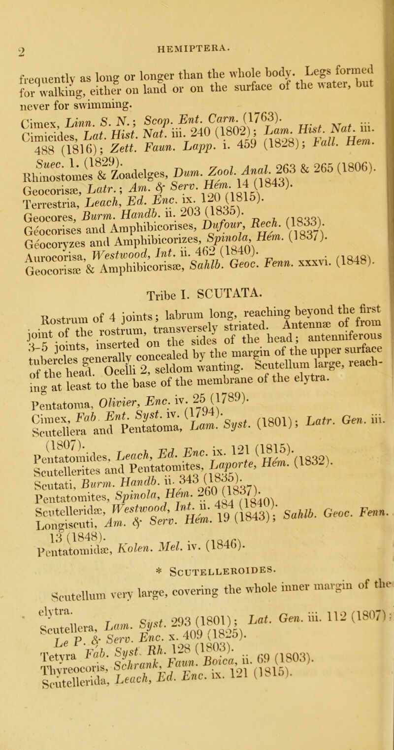 freauentlv as long or longer than the whole body. Legs formed for^alking, either on land or on the surface of the water, but never for swimming. Linn S. N.; Scop. Ent. Cam. (1763). ... Sides, La. Hist. Nal uu 240 (1802); 488 (1816); Zett. Faun. Lapp. i. 459 (1828), tall. Hem. Rh^nostomi'& Zoadelges, ^ GeoeonsiC, Latr.; Am. ^ ®^.-,^rn81.5( ' Terrestria, heach, Ed. Enc. IdO (18 ). Geocores, Burm. Handb. ii. 203 (lsdt>). mq.joi Geocorises and Amphibiconses, Dufour BecA. (1833) Geocoryzes and Amphibicorizes, (183/). Aiirocorisa, Vi^estwood, Int. ii. 4)— ( • /iQdQ\ Geocoris/e & Amphibieorism, Sa/M. Geoc. Fenn. xxxvi. (1848). Tribe I. SCUTATA. Hn^tvum of 4 ioints; labrum long, reaching beyond the first | • ■ \ nrtiyrostram transversely striated. Antenna of from ; joint of the lost,um, tra , antenniferous : joint of the .rostrum, transwmeiy .^jenniferous i at least to the base of the membrane of the elytra. Pe^ntatoraa, Olivier, Enc. iv- 26 (1789). Ciniex, Fah. Ent. Syst. iv. ( ’t;,,,. (1801) • Latr. Gen. hi. Scutellera and Peiitatoma, Lam. Syst. (l»ui), i.a Pentetomides. Leach, Ed. Enc. a. 121 (^®]^^-,,gg2j erites and Pe«tatom tes Hem. (1832). i»(W <=“■ 13(1848). . Pentatomidse, Kolen. Mel. iv. (18 ) * SCUTELLEROIDES. Scntellnin very large, covering the whole inner margin of the Sertellera, Lam. Syst. 293 (1801); L«t. Gen. hi. 112 (1807): letyia qL,rnvk Faww.-Boxca, 11. 69 (18U,i). Tbvreocoris, 19-^ (1^15). Scutellerida, Leach, Ed. Enc. ix. l-i G- )