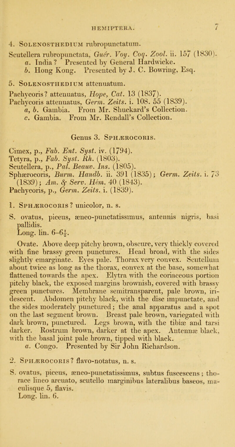 4. SoLENOSTHEDiuM rubropunctatiim. Scutellera rubropunctata, Guer. Voy. Coq. Zool. ii. 157 (1830). a. India? Presented by General Hardwdcke. b. Hong Kong. Presented by J. C. Bowring, Esq. 5. SoLENOSTHEDiUM attenuatiim. Paehycoris? attenuatus, Hope, Cat. 13 (1837). Pachycoris attenuatus, Germ. Zeits. i. 108. 55 (1839). a, b. Gambia. From Mr. Sbuckard’s Collection. c. Gambia. From Mr. Rendall’s Collection. Genus 3. SpHiEROCORis. Cimex, p.. Fab. Ent. Syst. iv. (1794). Tetyra, p., Fab. Syst. Rh, (1803). Scutellera, p., Pal. Beauv. Ins. (1805). Sphaerocoris, Burm. Handb. ii. 391 (1835); Germ. Zeits. i. 73 (1839) ; Am. ^ Serv. Hem. 40 (1843). Pachycoris, p.. Germ. Zeits. i. (1839). 1. Sphasrocoris ? unicolor, n. s. S. ovatus, piceus, aeneo-punctatissimus, antennis nigris, basi pallidis. Long. lin. 6-6|. Ovate. Above deep pitchy brown, obscure, very thickly covered with fine brassy green punctures. Head broad, with the sides slightly emarginate. Eyes pale. Thorax very convex. Scutellum about twice as long as the thorax, convex at the base, somewhat flattened towards the apex. Elytra with the coriaceous portion pitchy black, the exposed margins brownish, covered with brassy green punctures. Membrane semitransparent, pale browm, iri- descent. Abdomen pitchy black, with the disc impunctate, and the sides moderately punctured; the anal apparatus and a spot on the last segment brown. Breast pale brown, variegated with dark brown, punctured. Legs brown, with the tibiae and tarsi darker. Rostrum brown, darker at the apex. Antennae black, with the basal joint pale brown, tipped with black. a. Congo. Presented by Sir John Richardson. 2, Sphaerocoris? flavo-notatus, n. s. S. ovatus, piceus, aeneo-punctatissimus, subtus fuscescens; tho- race lineo arcuato, scutello marginibus lateralibus baseos, ma- culisque 5, flavis.