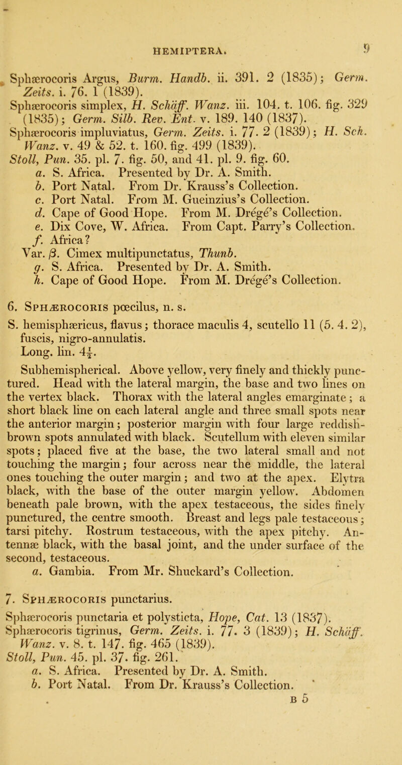 ^ Spliaerocoris Argus, Barm. Handb. ii. 391. 2 (1835); Germ. Zeits. i. 76. 1 (1839). Sphserocoris simplex, H. Scliaff. Wanz. iii. 104. t. 106. fig. 329 (1835); Germ. Silb. Rev. Ent. v. 189. 140 (1837). Sphserocoris impluviatus, Germ. Zeits. i. 77- 2 (1839); H. Sck. Wanz. V. 49 & 52. t. 160. fig. 499 (1839). Stoll, Pun. 35. pi. 7- fig* 50, and 41. pi. 9. fig. 60. a. S. Africa. Presented by Dr. A. Smith. b. Port Natal, From Dr. Krauss’s Collection. c. Port Natal. From M. Gueinzius’s Collection. d. Cape of Good Hope. From M. Drege’s Collection. e. Dix Cove, W. Africa. From Capt. Parry’s Collection. f. Africa? Var. /3. Cimex multipunctatus, Thunb. g. S. Africa. Presented by Dr. A. Smith. h. Cape of Good Hope. From M. Drege’s Collection. 6. Sph^rocoris poecilus, n. s. S. hemisphsericus, flavus; thorace maculis 4, scutello 11 (5. 4. 2), fuscis, nigro-annulatis. Long. lin. 4|. Subhemispherical. Above yellow, very finely and thickly punc- tured. Head with the lateral margin, the base and two fines on the vertex black. Thorax with the lateral angles emarginate; a short black line on each lateral angle and three small spots near the anterior margin; posterior margin with four large reddisli- brown spots annulated with black. Scutellum with eleven similar spots; placed five at the base, the two lateral small and not touching the margin; four across near the middle, the lateral ones touching the outer margin; and two at the apex. Elytra black, with the base of the outer margin yellow. Abdomen beneath pale brown, with the apex testaceous, the sides finely punctured, the centre smooth. Breast and legs pale testaceous; tarsi pitchy. Rostrum testaceous, with the apex pitchy. An- tennae black, with the basal joint, and the under surface of the second, testaceous. a. Gambia. From Mr. Shuckard’s Collection. 7* SpH^ROCORis punctarius. Sphserocoris punctaria et polysticta, Hope, Cat. 13 (1837). Sphserocoris tigrinus, Germ. Zeits. i. 77* 3 (1839); H. Schaff. Wanz. V. 8. t. 147. fig. 465 (1839). Stoll, Pun. 45. pi. 37. fig. 261.' a. S. Africa. Presented by Dr. A. Smith. b. Port Natal. From Dr. Krauss’s Collection.