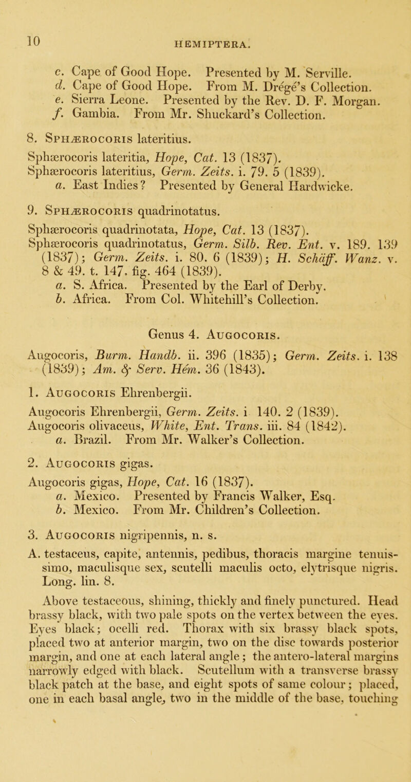 c. Cape of Good Hope. Presented by M. Serville. d. Cape of Good Hope. From M. Drege’s Collection. e. Sierra Leone. Presented by the Rev. D. F. Morgan. f. Gambia. From Mr. Shuckard’s Collection. 8. Sph^rocoris lateritius. Sphoerocoris lateritia, Hope, Cat. 13 (183/). Sphaerocoris lateritius. Germ. Zeits. i. 79. 5 (1839). a. East Indies? Presented by General Hardwicke. 9. Sph^rocoris quadrinotatus. Sphserocoris quadrinotata, Hope, Cat. 13 (1837). Sphaerocoris quadrinotatus, Germ. Silh. Rev. Ent. v. 189. 139 (1837); Germ. Zeits. i. 80. 6 (1839); H. Schdff. Wanz. v. 8 & 49. t. 147. fig. 464 (1839). a. S. Africa. Presented by the Earl of Derby. h. Africa. From Col. Whitehill’s Collection. Genus 4. Augocoris. Augocoris, Burm. Handb. ii. 396 (1835); Germ. Zeits. i. 138 (1839); Am. ^ Serv. Hein. 36 (1843). 1. Augocoris Ehrenbergii. Augocoris Ehrenbergii, Germ. Zeits. i 140. 2 (1839). Augocoris olivaceus, White, E7it. Trans, hi. 84 (1842). a. Brazil. From Mr. Walker’s Collection. 2. Augocoris gigas. Augocoris gigas, Hope, Cat. 16 (1837). a. Mexico. Presented by Francis Walker, Esq. b. Mexico. From Mr. Children’s Collection. 3. Augocoris nigripennis, n. s. A. testaceus, capite, antennis, pedibus, thoracis margine tenuis- simo, maculisque sex, scutelli maculis octo, elytrisque nigris. Long. lin. 8. Above testaceous, shining, thickly and finely punctured. Head brassy black, with two pale spots on the vertex between the eyes. Eyes black; ocelli red. Thorax with six brassy black spots, placed two at anterior margin, two on the disc towards posterior margin, and one at each lateral angle; the antero-lateral margins narrowly edged with black. Scutellum with a transverse brassy black patch at the base, and eight spots of same colour; placed, one in each basal angle^ two in the middle of the base, touching
