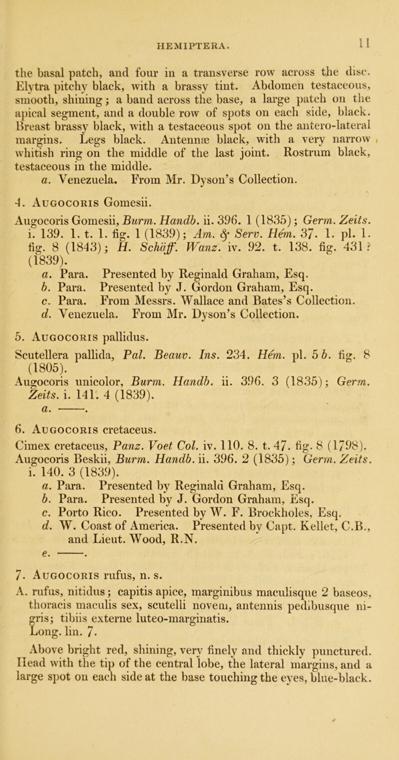 H the basal patch, and four in a transverse row across the disc. Elvtra pitchy black, with a brassy tint. Abdomen testaceous, smooth, shining; a band across the base, a large patch on tlie apical segment, and a double row of spots on each side, black. Breast brassy black, with a testaceous spot on the antero-lateral margins. Legs black. Antennfe black, with a very narrow , whitish ring on the middle of the last joint. Rostrum black, testaceous in the middle. a. Venezuela. From Mr. Dyson’s Collection. A. Augocoris Gomesii. Augocoris Gomesii, Burnt. Handb. ii. 396. 1 (1835); Germ. Zeits. i. 139. 1. t. 1. fig. 1 (1839); Am. ^ Serv. Hem. 3/. 1. pi. L fig. 8 (1843); H. Schbff. Wanz. iv. 92. t. 138. fig. 431 ? (1839). a. Para. Presented by Reginald Graham, Esq. b. Para. Presented by J. Gordon Graham, Esq. c. Para. From Messrs. Wallace and Bates’s Collection. d. Venezuela. From Mr. Dyson’s Collection. 5. Augocoris pallidus. Scutellera pallida. Pal. Beauv. Ins. 234. Hem. pi. 5 b. fig. 8 (1805). Augocoris unicolor, Burm. Handb. ii. 396. 3 (1835); Germ. Zeits. i. 14P. 4 (1839). a. . 6. Augocoris cretaceus. Cimex cretaceus, Panz. Voet Col. iv. 110. 8. t. 47. fig. 8 (1798). Augocoris Beskii, Burm. Handb. ii. 396. 2 (1835); Germ. Zeits. i. 140. 3 (1839). a. Para. Presented by Reginald Graham, Esq. b. Para. Presented by J. Gordon Graham, Esq. c. Porto Rico. Presented by W. F. Brockholes, Esq. d. W. Coast of America. Presented by Capt. Kellet, C.B., and Lieut. Wood, R.N. e. . 7. Augocoris rufus, n. s. A. rufus, nitidus; capitis apice, marginibus maculisque 2 baseos, thoracis maculis sex, scutelli noveni, antennis pedibusque ni- gris; tibiis externe luteo-marginatis. Long. lin. 7- Above bright red, shining, very finely and thickly punctured. Head with the tip of the central lobe, the lateral margins, and a large spot on each side at the base touching the eyes, blue-black.