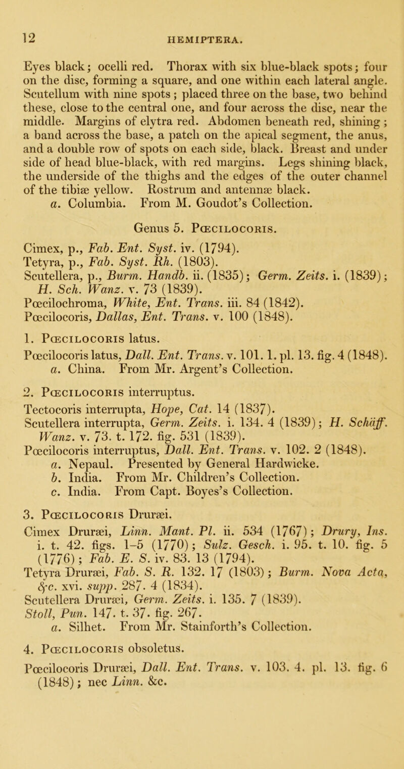 Eyes black; ocelli red. Thorax with six blue-black spots; four on the disc, forming a square, and one within each lateral angle. Scutellum with nine spots ; placed three on the base, two behind these, close to the central one, and four across the disc, near the middle. Margins of elytra red. Abdomen beneath red, shining ; a band across the base, a patch on the apical segment, the anus, and a double row of spots on each side, black. Breast and under side of head blue-black, with red margins. Legs shining black, the underside of the thighs and the edges of the outer channel of the tibiae yellow. Rostrum and antennae black. a. Columbia. From M. Goudot’s Collection. Genus 5. Pcecilocoris. Cimex, p.. Fab. Ent. Syst. iv. (1794). Tetyra, p.. Fab. Syst. Rh. (1803). Scutellera, p., Burm. Handb. ii. (1835); Germ. Zeits. i. (1839); H. Sch. IVanz. v. 73 (1839). Poecilochroma, White, Ent. Trans, hi. 84 (1842). Pcecilocoris, Dallas, Ent. Trans, v. 100 (1848). 1. Pcecilocoris latus. Pcecilocoris latus, Dali. Ent. Trans, v. 101.1. pi. 13. fig. 4 (1848). a. China. From Mr. Argent’s Collection. 2. Pcecilocoris interruptus. Tectocoris interrupta, Hope, Cat. 14 (1837). Scutellera interrupta, Germ. Zeits. i. 134. 4 (1839); H. Schaff. Wanz. V. 73. t. 172. fig. 531 (1839). Pcecilocoris interruptus, Dali. Ent. Trans, v. 102. 2 (1848). a. Nepaul. Presented by General Hardwicke. b. India. From Mr. Children’s Collection. c. India. From Capt. Boyes’s Collection. 3. Pcecilocoris Druraei. Cimex Druraei, Linn. Mant. PI. ii. 534 (1767); Drury, Ins. i. t. 42. figs. 1-5 (I77O); Sulz. Gesch. i. 95. t. 10. fig. 5 (1776); Fab. E. S. iv. 83. 13 (1794). Tetyra Druraei, Fab. S. R. 132. 17 (1803); Burm. Nova Acta, 8fC. xvi. supp. 287. 4 (1834). Scutellera Druraei, Germ. Zeits. i. 135. 7 (1839). Stoll, Pun. 147. t. 37. fig. 267. a. Silhet. From Mr. Stainforth’s Collection. 4. Pcecilocoris obsoletus. Pcecilocoris Druraei, Dali. Ent. Trans, v. 103. 4. pi. 13. fig. 6 (1848); nee Linn. &c.