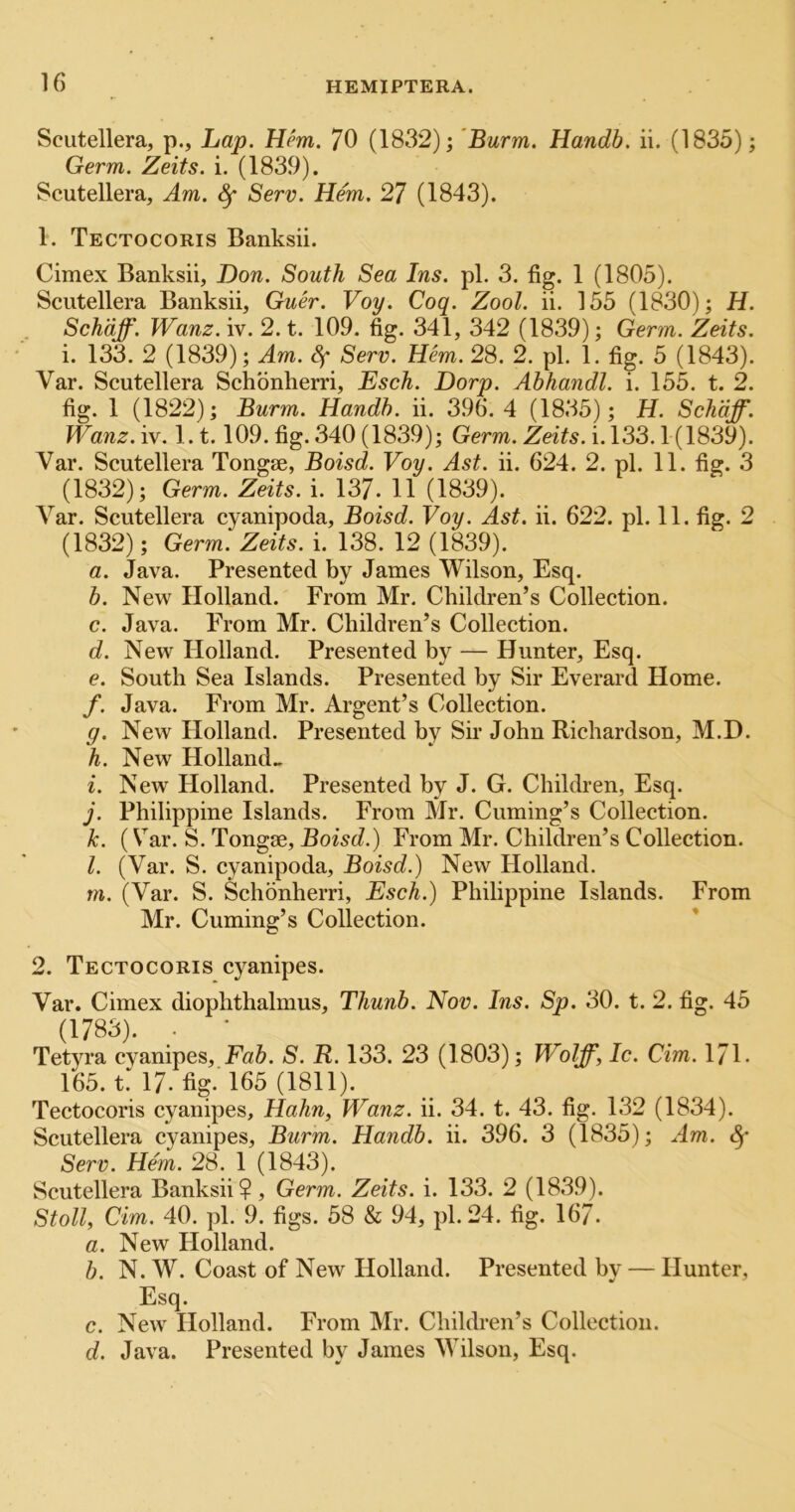 Scutellera, p., Lap. Hem. 70 (1832) j Burm. Handb. ii. (1835); Germ. Zeits. i. (1839). Scutellera, Am. ^ Serv. Hem. 27 (1843). 1. Tectocoris Banksii. Cimex Banksii, Don. South Sea Ins. pi. 3. fig. 1 (1805). Scutellera Banksii, Guer. Voy. Coq. Zool. ii. 155 (1830); H. Schdff. Wanz. iv. 2. t. 109. fig. 341, 342 (1839); Germ. Zeits. i. 133. 2 (1839); .4m. ^ Serv. Hem. 28. 2. pi. 1. fig. 5 (1843). Var. Scutellera Schbnherri, Esch. Dorp. Abhandl. i. 155. t. 2. fig. 1 (1822); Burm. Handb. ii. 396. 4 (1835); H. Schdff. Wanz. iv. l.t. 109. fig. 340 (1839); Germ. ZmYs. i. 133.1(1839). Var. Scutellera Tongse, Boisd. Voy. Ast. ii. 624. 2. pi. 11. fig. 3 (1832); Germ. Zeits. i. 137. H (1839). Var. Scutellera cyanipoda, Boisd. Voy. Ast. ii. 622. pi. 11. fig. 2 (1832); Germ. Zeits. i. 138. 12 (1839). a. Java. Presented by James Wilson, Esq. b. New Holland. From Mr. Children’s Collection. c. Java. From Mr. Children’s Collection. d. New Holland. Presented by — Hunter, Esq. e. South Sea Islands. Presented by Sir Everard Home. f. Java. From Mr. Argent’s Collection. g. New Plolland. Presented by Sii’ John Richardson, M.D. h. New Holland.. i. New Holland. Presented by J. G. Children, Esq. j. Philippine Islands. From Mr. Cuming’s Collection. k. (Var. S. Tongae, Boisd.) From Mr. Children’s Collection. l. (Var. S. cyanipoda, Boisd.) New Holland. m. (Var. S. Schonherri, Esch.) Philippine Islands. From Mr. Cuming’s Collection. ' 2. Tectocoris cyanipes. Var. Cimex diophthalmus, Thunb. Nov. Ins. Sp. 30. t. 2. fig. 45 (1783). . Tetyra cyanipes. Fab. S. R. 133. 23 (1803); Wolff, Ic. dm. 171. 165. t. 17. fig. 165 (1811). Tectocoris cyanipes, Hahn, Wanz. ii. 34. t. 43. fig. 132 (1834). Scutellera cyanipes, Burm. Handb. ii. 396. 3 (1835); Am. Sf Serv. Hem. 28. 1 (1843). Scutellera Banksii?, Germ. Zeits. i. 133. 2 (1839). Stoll, dm. 40. pi. 9. figs. 58 & 94, pi. 24. fig. 167. a. New Holland. b. N. W. Coast of New Holland. Presented by — Hunter, Esq. c. New Holland. From Mr. Children’s Collection. d. Java. Presented by James Wilson, Esq.