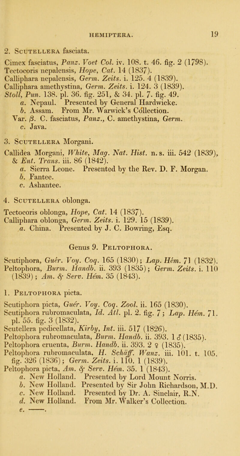 2. ScuTELLERA fasciata. Cimex fasciatus, Panz. Voet Col. iv. 108. t. 46. fig. 2 (1798). Tectocoris nepalensis, Hope, Cat. 14 (1837). Calliphara nepalensis, Germ. Zeits. i. 125. 4 (1839). Calliphara amethystina. Germ. Zeits. i. 124. 3 (1839). Stoll, Pun. 138. pi. 36. fig. 251, & 34. pi. 7- fig. 49. a. Nepaul. Presented by General Hardwicke. b. Assam. From Mr. Warwiek’s Collection. Var. /3. C. fasciatus, Panz., C. amethystina. Germ. c. Java. 3. ScuTELLERA Morgani. Callidea Morgani, White, Mag. Nat. Hist. n. s. iii. 542 (1839), & Ent. Trans, iii. 86 (1842). a. Sierra Leone. Presented by the Rev. D. F. Morgan. b. Fantee. c. Ashantee. 4. ScuTELLERA oblonga. Tectocoris oblonga, Hope, Cat. 14 (1837). Calliphara oblonga. Germ. Zeits. i. 129. 15 (1839). a. China. Presented by J. C. Bowring, Esq. Genus 9. Peltophora. Scutiphora, Guer. Voy. Coq. 165 (1830); Lap. Hem. 71 (1832). Peltophora, Burm. Handb. ii. 393 (1835); Germ. Zeits. i. 110 (1839); Am. Serv. Hem. 35 (1843). 1. Peltophora picta. Scutiphora picta, Guer. Voy. Coq. Zool. ii. 165 (1830). Scutiphora rubromaculata. Id. Atl. pi. 2. fig. 7; Lap. Hem. 71. pi. 55. fig. 3 (1832). Scutellera pedicellata, Kirby, Int. iii. 517 (1826). Peltophora rubromaculata, Burm. Handb. ii. 393. 1 S{IS35). Peltophora cruenta, Burm. Handb. ii. 393. 2 ? (1835). Peltophora rubromaculata, H. Schdff. Wanz. iii. 101. t. 105. fig. 326 (1836); Germ. Zeits. i. 110. 1 (1839). Peltophora picta, Am. ^ Serv. Hem. 35. 1 (1843). a. New Holland. Presented by Lord Mount Norris. b. New Holland. Presented by Sir John Richardson, M.D. c. New Holland. Presented by Dr. A. Sinclair, R.N. d. New Holland. From Mr. Walker’s Collection. e. .
