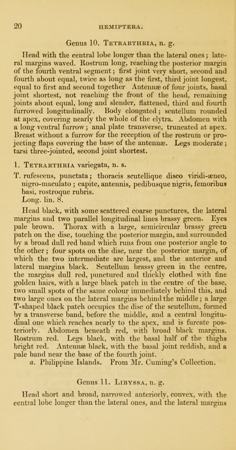 Genus 10. Tetrarthria, n. g. Head with the central lobe longer than the lateral ones; late- ral margins waved. Rostrum long, reaching the posterior margin of the fourth ventral segment; first joint very short, second and fourth about equal, twice as long as the first, third joint longest, equal to first and second together Antennae of four joints, basal joint shortest, not reaching the front of the head, remaining joints about equal, long and slender, flattened, third and fourth furrowed longitudinally. Body elongated; scutellum rounded at apex, covering nearly the whole of the elytra. Abdomen with a long ventral furrow; anal plate transverse, truncated at apex. Breast without a furrow for the reception of the rostrum or pro- jecting flaps covering the base of the antennae. Legs moderate; tarsi three-jointed, second joint shortest. / 1. Tetrarthria variegata, n. s. T. rufescens, punctata; thoracis scutellique disco viridi-aeneo, nigro-maculato ; capite, antennis, pedibusque nigris, femoribus basi, rostroque rubris. Long. lin. 8. Head black, vidth some scattered coarse punctures, the lateral margins and two parallel longitudinal lines brassy green. Eyes pale brown. Thorax with a large, semicircular brassy green patch on the disc, touching the jjosterior margin, and surrounded by a broad dull red band which runs from one posterior angle to the other; four spots on the disc, near the posterior margin, of which the two intermediate are largest, and the anterior and lateral margins black. Scutellum brassy green in the centre, the margins dull red, punctured and thickly clothed with fine golden hairs, with a large black patch in the centre of the base, two small spots of the same colour immediately behind this, and two large ones on the lateral margins behind the middle; a large T-shaped black patch occupies the disc of the scutellum, formed by a transverse band, before the middle, and a central longitu- dinal one which reaches nearly to the apex, and is furcate pos- teriorly. Abdomen beneath red, with broad black margins. Rostrum red. Legs black, with the basal half of the thighs bright red. Antennae black, with the basal joint reddish, and a j)ale band near the base of the fourth joint. a. Philippine Islands. From Mr. Cuming’s Collection. Genus 11. Libyssa, n. g. Head short and broad, narrowed anteriorly, convex, with the central lobe longer than the lateral ones, and the lateral margins