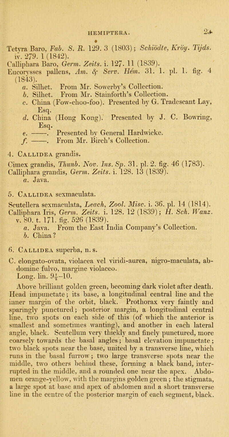 2,h TetvTR Baro, Fab. S. R. 129. 3 (1803); Schibdte, Kroy. Tijds. iv. 279. 1 (1842). Callipliara Baro, Germ. Zeits. i. 127. H (1839). Eucorvsses pallens. Am. Sf Serv. He'tn. 31. 1. pi. 1. fig. 4 (1843). a. Silhet. From Mr. Sowerby’s Collection. h. Silhet. From Mr. Stainforth’s Collection. c. China (Fow-choo-foo). Presented by G. Tradescant Lay, Esq. d. China (Hong Kong). Presented by J. C. Bowring, Esq. €. . Presented by General Hardwicke. f. . From Mr. Birch’s Collection. 4. Callidea grandis. Cimex grandis, Tkunh. Nov. his. Sp. 31. pi. 2. fig. 46 (1783). Callipliara grandis, Germ. Zeits. i. 128. 13 (1839). a. Java. 5. Callidea sexmaculata. Scutellera sexmaculata, Leach, Zool. Misc. i. 36. pi. 14 (1814). Calliphara Iris, Germ. Zeits. i. 128. 12 (1839); H. Sch. Wanz. V. 80. t. 171. fig. 526 (1839). a. Java. From the East India Company’s Collection. h. China? 6. Callidea superba, n. s. C. elongato-ovata, violacea vel viridi-aiirea, nigro-maculata, ab- domine fulvo, margine violaceo. Long. lin. 9|^-10. Above brilliant golden green, becoming dark violet after death. Head impunctate; its base, a longitudinal central line and the inner margin of the orbit, black. Prothorax very faintly and sparingly punctured; posterior margin, a longitudinal central line, two spots on each side of this (of which the anterior is smallest and sometimes wanting), and another in each lateral angle, black. Scutelliim very thickly and finely punctured, more coarsely towards the basal angles; basal elevation impunctate; two black spots near the base, united by a transverse line, which runs in the basal furrow; two large transverse sjiots near the middle, two others behind these, forming a black band, inter- rupted in the middle, and a rounded one near the apex. Abdo- men orange-yellow, with the margins golden green ; the stigmata, a large spot at base and ajiex of abdomen and a short transverse line in the centre of the posterior margin of each segment, black.