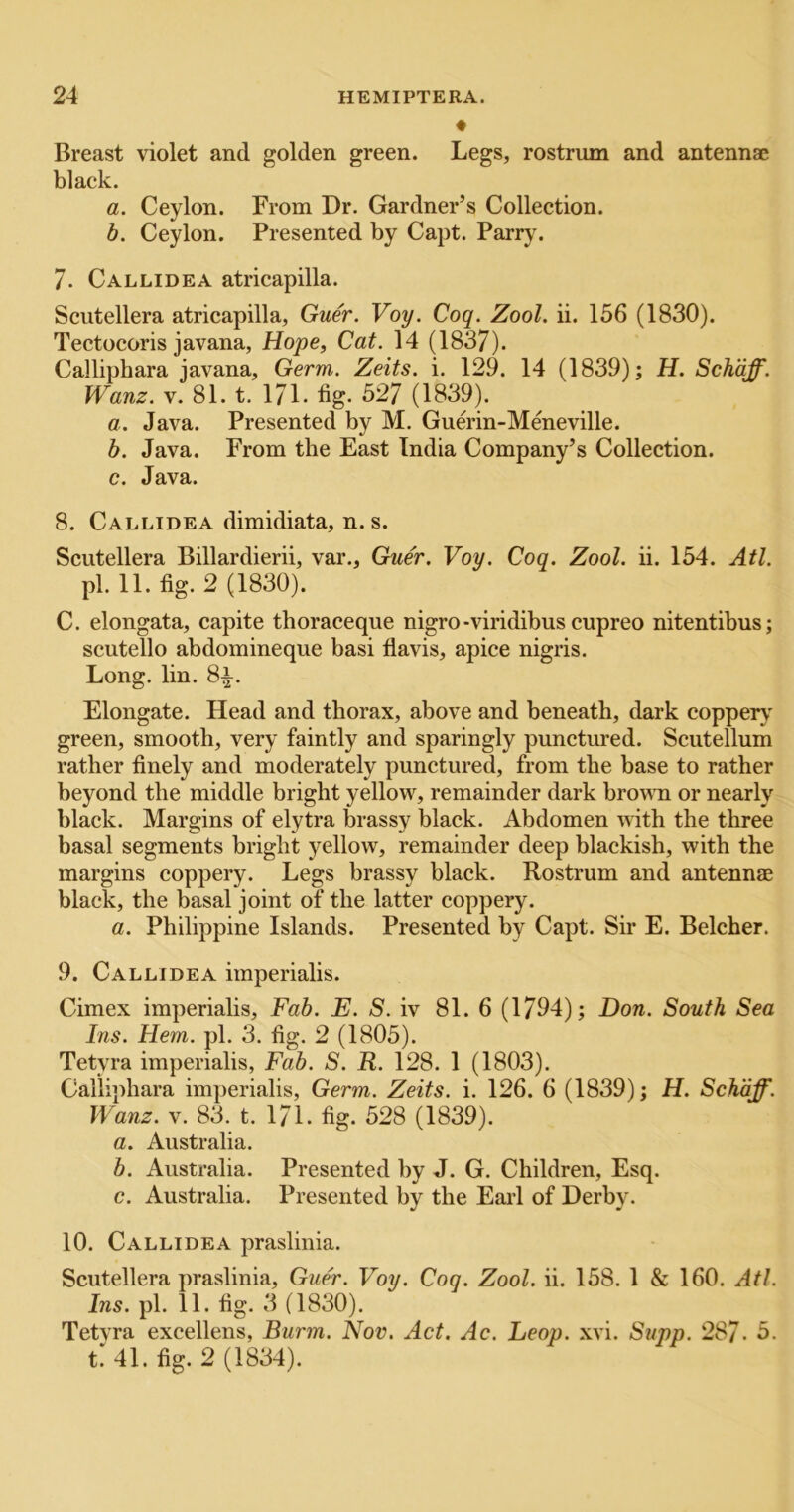 Breast violet and golden green. Legs, rostrum and antennae black. a. Ceylon. From Dr. Gardner’s Collection. b. Ceylon. Presented by Capt. Parr}\ 7. Callidea atricapilla. Sciitellera atricapilla, Guer. Voy. Coq. Zool. ii. 156 (1830). Tectocoris javana, Hope, Cat. 14 (1837). Calliphara javana. Germ. Zeits. i. 129. 14 (1839); H. Schaff. Wanz. V. 81. t. 171. fig- 527 (1839). a. Java. Presented by M. Guerin-Meneville. b. Java. From the East India Company’s Collection. c. Java. 8. Callidea dimidiata, n. s. Scutellera Billardierii, var., Guer. Voy. Coq. Zool. ii. 154. Atl. pi. 11. fig. 2 (1830). C. elongata, capite thoraceque nigro-viridibus cupreo nitentibus; scutello abdomineque basi flavis, apice nigris. Long. lin. 8^. Elongate. Head and thorax, above and beneath, dark coppery green, smooth, very faintly and sparingly punctured. Scutellum rather finely and moderately punctured, from the base to rather beyond the middle bright yellow, remainder dark brown or nearly black. Margins of elytra brassy black. Abdomen with the three basal segments bright yellow, remainder deep blackish, with the margins coppery. Legs brassy black. Rostrum and antennae black, the basal joint of the latter coppery. a. Philippine Islands. Presented by Capt. Sir E. Belcher. 9. Callidea imperialis. Cimex imperialis. Fab. E. S. iv 81. 6 (1794); Don. South Sea Ins. Hem. pi. 3. fig. 2 (1805). Tetyra imperialis, Fab. S. R. 128. 1 (1803). Calliphara imperialis. Germ. Zeits. i. 126. 6 (1839); H. Schaff. Wanz. V. 83. t. 171. fig. 528 (1839). a. Australia. b. Australia. Presented by J. G. Children, Esq. c. Australia. Presented by the Earl of Derby. 10. Callidea praslinia. Scutellera praslinia, Guer. Voy. Coq. Zool. ii. 158. 1 & 160. Atl. Ins. pi. 11. fig. 3 (1830). Tetvra excellens, Burm. Nov. Act. Ac. Leop. xvi. Supp. 287- 5. t 41. fig. 2 (1834).