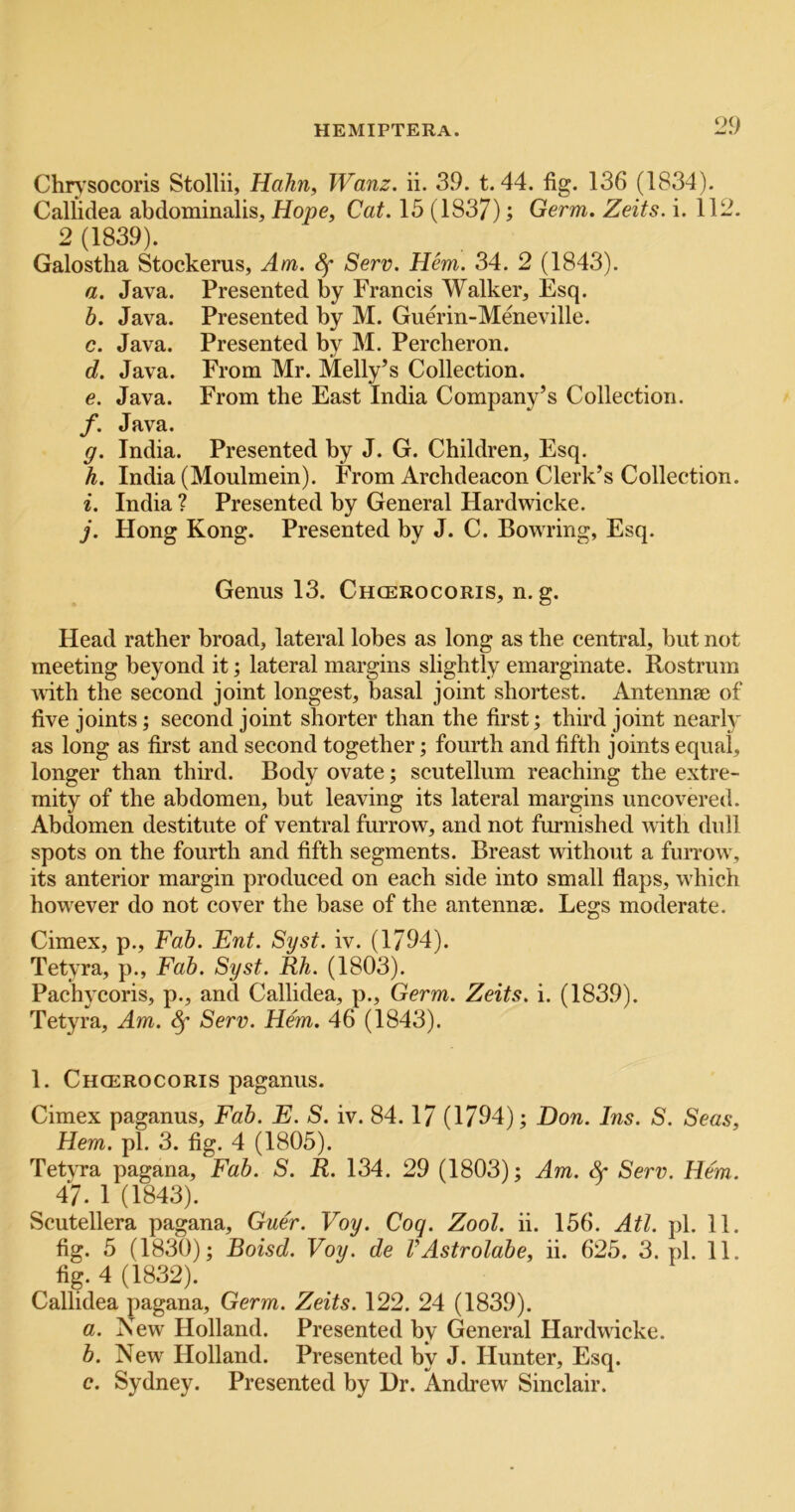 Chn'socoris Stollii, Hahn, Wanz. ii. 39. t. 44. fig. 136 (1834). Callidea abdominalis, Hope, Cat. 15 (1837); Germ. Zeits. i. 112. 2 (1839). Galostha Stockerus, Am. Sf Serv. Hem. 34. 2 (1843). a. Java. Presented by Francis Walker, Esq. h. Java. Presented by M. Guerin-Meneville. c. Java. Presented by M. Percheron. d. Java. From Mr. Melly’s Collection. e. Java. From the East India Company’s Collection. f. Java. g. India. Presented by J. G. Children, Esq. h. India (Moulmein). From Archdeacon Clerk’s Collection. i. India ? Presented by General Hardwicke. j. Hong Kong. Presented by J. C. Bowring, Esq. Genus 13. Chcerocoris, n. g. Head rather broad, lateral lobes as long as the central, but not meeting beyond it; lateral margins slightly emarginate. Rostrum with the second joint longest, basal joint shortest. Antennae of five joints; second joint shorter than the first j third joint nearly as long as first and second together; fourth and fifth joints equal, longer than third. Body ovate; scutellum reaching the extre- mity of the abdomen, but leaving its lateral margins uncovered. Abdomen destitute of ventral furrow, and not furnished with dull spots on the fourth and fifth segments. Breast without a furrow , its anterior margin produced on each side into small flaps, w hich how^ever do not cover the base of the antennae. Legs moderate. Cimex, p.. Fab. Ent. Syst. iv. (1794). Tetyra, p., Fab. Syst. Rh. (1803). Pachycoris, p., and Callidea, p.. Germ. Zeits. i. (1839). Tetyra, Am. Serv. Hem. 46 (1843). 1. Chcerocoris jDaganus. Cimex paganus. Fab. E. S. iv. 84.17 (1794); Don. Ins. S. Seas, Hem. pi. 3. fig. 4 (1805). Tetyra pagana, Fab. S. R. 134. 29 (1803); Am. ^ Serv. Hem. 47. 1 (1843). Scutellera pagana, Guer. Voy. Cog. Zool. ii. 156. Atl. pi. 11. fig. 5 (1830); Boisd. Voy. de VAstrolabe, ii. 625. 3. pi. 11. fig. 4 (1832). Callidea pagana. Germ. Zeits. 122. 24 (1839). a. New Holland. Presented by General Hardwicke. b. New^ Holland. Presented by J. Hunter, Esq. c. Sydney. Presented by Dr. Andrew Sinclair.