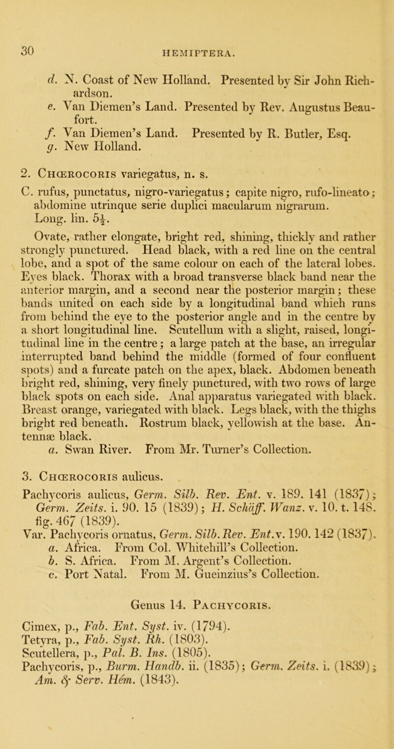 (I. N. Coast of New Holland. Presented by Sir John Rich- ardson. e. Van Diemen’s Land. Presented by Rev. Augustus Beau- fort. /. Van Diemen’s Land. Presented by R. Butler, Esq. g. New Holland. 2. Chcerocoris variegatus, n. s. C. rufus, punctatus, nigro-variegatus; capite nigro, rufo-lineato; abdomine utrinque serie duplici macularum nigrarum. Long. lin. 5^. Ovate, rather elongate, bright red, shining, thickly and rather strongly pimctmed. Head black, with a red line on the central lobe, and a spot of the same colour on each of the lateral lobes. Eyes black. Thorax with a broad transverse black band near the anterior margin, and a second near the posterior margin; these bands united on each side by a longitudinal band which runs from behind the eye to the posterior angle and in the centre by a short longitudinal line. Scutellum with a slight, raised, longi- tudinal line in the centre; a large patch at the base, an irregular interrupted band behind the middle (formed of four confluent spots) and a furcate patch on the apex, black. Abdomen beneath bright red, shining, very finely punctured, with two rows of large black spots on each side. Anal apparatus variegated with black. Breast orange, variegated with black. Legs black, with the thighs bright red beneath. Rostrum black, yellowish at the base. An- tennae black. a. Swan River. From Mr. Tinner’s Collection. 3. Chcerocoris aulicus. Pachycoris aulicus. Germ. Silb. Rev. Ent. v. 189. 141 (1837); Germ. Zeits. i. 90. 15 (1839); H. Scliaff. Wanz. v. 10.1.148. fig. 467 (1839). Var. Pachycoris ornatus. Germ. Silb. Rev. Ent.v. 190.142 (1837). a. Africa. From Col. Whitehill’s Collection. b. S. Africa. From M. Argent’s Collection. c. Port Natal. From M. Gueinzius’s Collection. Genus 14. Pachycoris. Cimex, p., Fah. Ent. Syst. iv. (1794). Tetyra, p.. Fab. Syst. Rh. (1803). Scutellera, p.. Pal. B. Ins. (1805). Pachycoris, p., Burm. Handb. ii. (1835); Germ. Zeits. i. (1839); Am. df Serv. Hem. (1843).