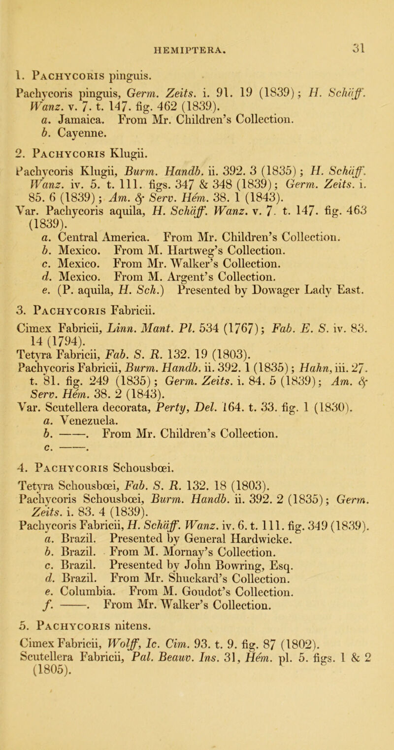 1. Pachycoris pinguis. Pachycoris pinguis. Germ. Zeits. i. 91. 19 (1839); H. Scliaff. Wanz. V. 7-1. 1^7- fig. 462 (1839). a. Jamaica. From Mr. Children’s Collection. b. Cayenne. 2. Pachycoris Klugii. Pachycoris Klugii, Burm. Handb. ii. 392. 3 (1835); H. Sch'dff. Wanz. iv. 5. t. 111. figs. 347 & 348 (1839); Germ. Zeits. i. 85. 6 (1839); Am. ^ Serv. Hem. 38. 1 (1843). Var. Pachycoris aquila, H. Schdff. Wanz. v. 7- t. 147. fig. 463 (1839). a. Central America. From Mr. Children’s Collection. b. Mexico. From M. Hartweg’s Collection. c. Mexico. From Mr. Walker’s Collection. d. Mexico. From M. Argent’s Colleetion. e. (P. aquila, H. Sch.) Presented by Dowager Lady East. 3. Pachycoris Fahricii. Cimex Fabrieii, Linn. Mant. PI. 534 (1767); Fab. E. S. iv. 83. 14 (1794). TetyTa Fabrieii, Fab. S. R. 132. 19 (1803). Pachycoris Fabrieii, Burm. Handb. ii. 392. 1 (1835); Hahn, hi. 27. t. 81. fig. 249 (1835); Germ. Zeits. i. 84. 5 (1839); Am. Sf Serv. Hem. 38. 2 (1843). Var. Scutellera decorata, Perty, Del. 164. t. 33. fig. 1 (1830). a. Venezuela. b. . From Mr. Children’s Collection. c. . 4. Pachycoris Schousboei. Tetyra Schousboei, Fab. S. R. 132. 18 (1803). Pachycoris Schousboei, Burm. Handb. ii. 392. 2 (1835); Germ. Zeits. i. 83. 4 (1839). Pachycoris Fabrieii, H. Schdff. Wanz. iv. 6. t. 111. fig. 349 (18.39). a. Brazil. Presented by General Hardwicke. b. Brazil. From M. Mornay’s Collection. c. Brazil. Presented by John Bowring, Esq. d. Brazil. From Mr. Shuekard’s Collection. e. Columbia. From M. Goudot’s Collection. /. . From Mr. Walker’s Collection. 5. Pachycoris nitens. Cimex Fabrieii, Wolff, Ic. dm. 93. t. 9. fig. 87 (1802). Scutellera Fabrieii, Pal. Beauv. Ins. 31, Hem. pi. 5. figs. 1 & 2 (1805).