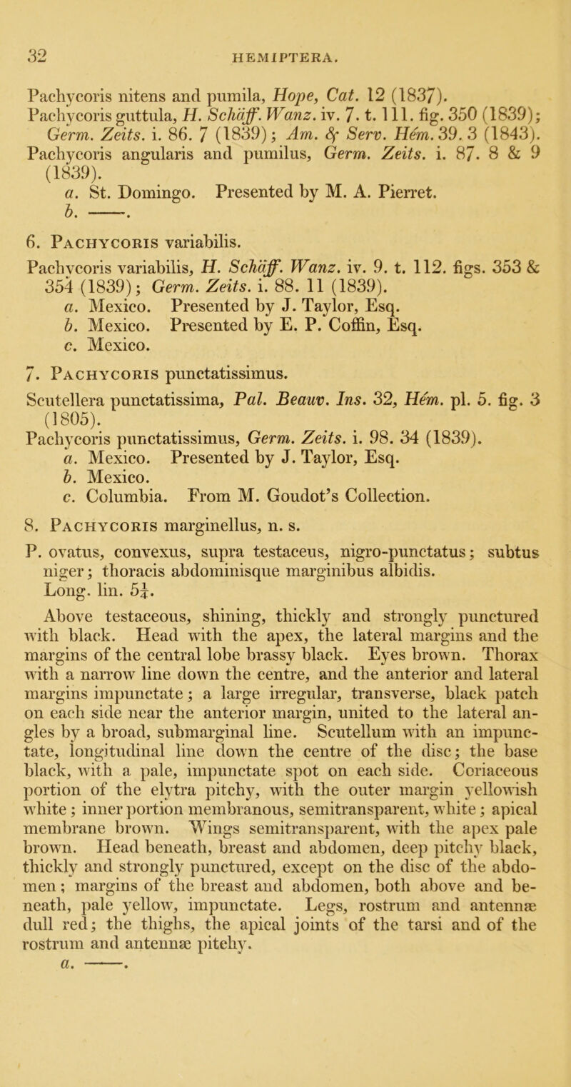 Pachycoris nitens and piimila, Hope, Cat. 12 (183/). Pachycoris guttula, H. Schaff. Wanz. iv. 7.1.111. fig. 350 (1839); Germ. Zeits. i. 86. 7 (1839); Am. Sf Serv. Hem. 39. 3 (1843). Pachycoris angularis and pumilus, Germ. Zeits. i. 87. 8 & 9 (1839). a. St. Domingo. Presented by M. A. Pierret. b. -. 6. Pachycoris variabilis. Pachycoris variabilis, H. Schaff. Wanz. iv. 9. t. 112. figs. 353 & 354 (1839); Germ. Zeits. i. 88. 11 (1839). a. Mexico. Presented by J. Taylor, Esq. b. Mexico. Presented by E. P. Coffin, Esq. c. Mexico. 7. Pachycoris punctatissimus. Scutellera punctatissima. Pal. Beauv. Ins. 32, He'm. pi. 5. fig. 3 (1805). Pachycoris punctatissimus. Germ. Zeits. i. 98. 34 (1839). a. Mexico. Presented by J. Taylor, Esq. b. Mexico. c. Columbia. From M. Goudot’s Collection. 8. Pachycoris marginellus, n. s. P. ovatus, convexus, supra testaceus, nigro-punctatus; subtus niger; thoracis abdominisque marginibus albidis. Long. lin. 5^. Above testaceous, shining, thickly and strongly punctured with black. Head with the apex, the lateral margins and the margins of the central lobe brassy black. Eyes brown. Thorax with a narrow line down the centre, and the anterior and lateral margins impunctate; a large irregular, transverse, black j)atch on each side near the anterior margin, united to the lateral an- gles by a broad, submarginal line. Scutellum with an impunc- tate, longitudinal line down the centre of the disc; the base black, with a pale, impunctate spot on each side. Coriaceous portion of the elytra pitchy, with the outer margin yellowish white ; inner portion membranous, semitransparent, white; apical membrane brown. Wings semitransparent, with the apex pale brown. Head beneath, breast and abdomen, deep pitchy black, thickly and strongly punctured, except on the disc of the abdo- men ; margins of the breast and abdomen, both above and be- neath, pale yellow, impunctate. Legs, rostrum and antennje dull red; the thighs, the apical joints of the tarsi and of the rostrum and antennse pitehy. a. .