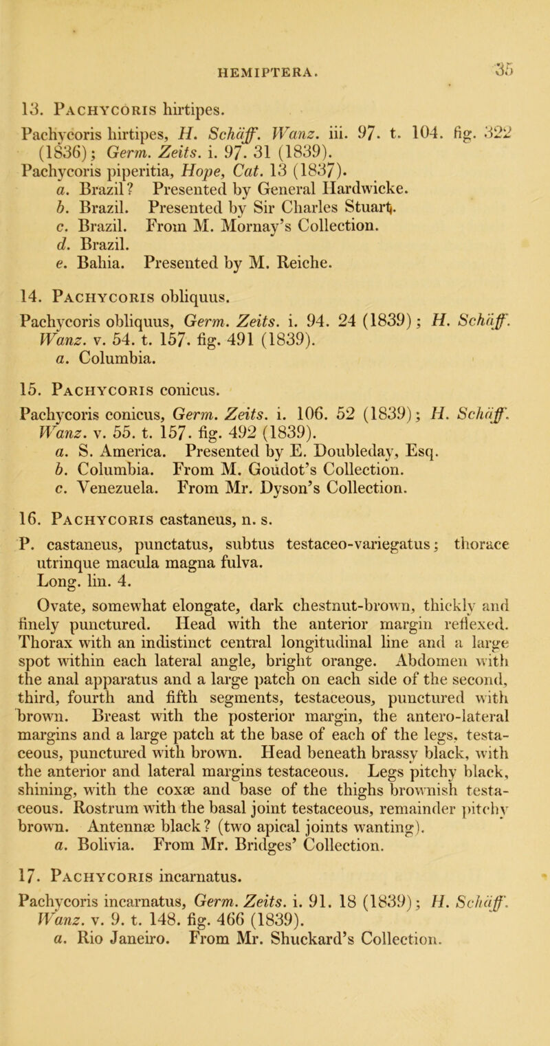 13. Pachycoris hii’tipes. Pachycoris liirtipes, H. Schciff. Wanz. iii. 97. t. 104. fig. 322 (1836) ; Germ. Zeits. i. 97- 31 (1839). Pachycoris piperitia, Hope, Cat. 13 (1837). a. Brazil? Presented by General Ilardwicke. b. Brazil. Presented by Sir Charles Stuaiij. c. Brazil. From M. Mornay’s Collection. d. Brazil. e. Bahia. Presented by M. Reiche. 14. Pachycoris obliquus. Pachycoris obliquus, Germ. Zeits. i. 94. 24 (1839); H. Sch'aff. Wanz. V. 54. t. 157. fig- 491 (1839). a. Columbia. 15. Pachycoris conicus. Pachycoris conicus, Germ. Zeits. i. 106. 52 (1839); H. Solidf. Wanz. V. 55. t. 157- fig. 492 (1839). a. S. America. Presented by E. Doubleday, Esq. b. Columbia. From M. Goudot’s Collection. c. Venezuela. From Mr. Dvson’s Collection. •/ 16. Pachycoris castaneus, n. s. P. castaneus, punctatus, subtus testaceo-variegatus; thorace utrinque macula magna fulva. Long. lin. 4. Ovate, somewhat elongate, dark chestnut-brown, thickly and finely punctured. Head with the anterior margin refiexed. Thorax with an indistinct central longitudinal line and a large spot within each lateral angle, bright orange. Abdomen with the anal apparatus and a large patch on each side of the second, third, fourth and fifth segments, testaceous, punctured with brown. Breast with the posterior margin, the antero-Iateral margins and a large patch at the base of each of the legs, testa- ceous, punctured with brown. Head beneath brassy black, with the anterior and lateral margins testaceous. Legs pitchy black, shining, with the coxae and base of the thighs brownish testa- ceous. Rostrum with the basal joint testaceous, remainder pitchy brown. Antennae black? (two apical joints wanting). a. Bolivia. From Mr. Bridges’ Collection. 17. Pachycoris incarnatus. Pachycoris incarnatus. Germ. Zeits. i. 91. 18 (1839); H. Solid Wanz. V. 9. t. 148. fig. 466 (1839). a. Rio Janeiro. From Mr. Shuckard’s Collection.