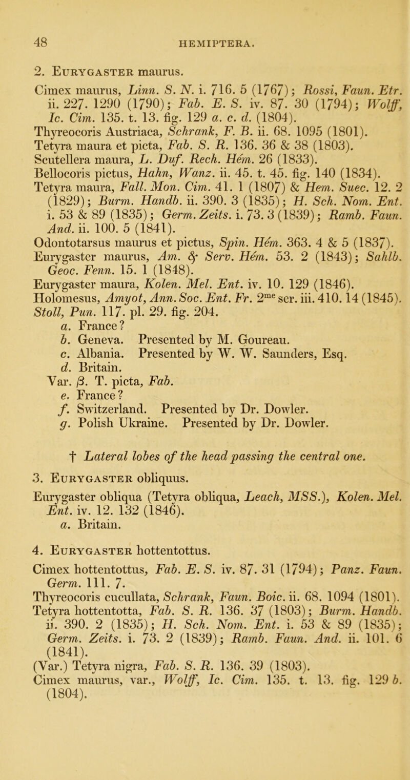 2. Eurygaster maurus. Cimex maurus, Linn. S. N. i. 716. 5 (1/67); Rossi, Faun. Etr. ii. 227. 12.90 (1790); Fab. E. S. iv. 87. 30 (1794); Wolff, Ic. dm. 135. t. 13. fig. 129 a. c. d. (1804). Thyreocoris Austriaca, Schrank, F. B. ii. 68. 1095 (1801). Tetyra maura et picta, Fab. S. R. 136. 36 & 38 (1803). Scutellera maura, L. Duf. Reck. Hem. 26 (1833). Bellocoris pictus, Hahn, Wanz. ii. 45. t. 45. fig. 140 (1834). Tetyra maura. Fall. Mon. dm. 41. 1 (1807) & Hem. Suec. 12. 2 (1829); Burm. Handb. ii. 390. 3 (1835); H. Sch. Norn. Ent. i. 53 & 89 (1835); Germ. Zeits. i. 73. 3 (1839); Ramb. Faun. And.ii. 100. 5 (1841). Odontotarsus maurus et pictus. Spin. Hem. 363. 4 & 5 (1837). Eurygaster maurus. Am. Sf Serv. Hem. 53. 2 (1843); Sahib. Geoc. Fenn. 15. 1 (1848). Eurygaster maura, Kolen. Mel. Ent. iv. 10. 129 (1846). Holomesus, Amyot, Ann. Soc. Ent. Fr. 2“® ser. iii. 410.14 (1845). Stoll, Pun. 117. pi. 29. fig. 204. a. France? b. Geneva. Presented by M. Goureau. c. Albania. Presented by W. W. Saunders, Esq. d. Britain. Var. (3. T. picta. Fab. e. France? f. Switzerland. Presented by Dr. Dowler. g. Polish Ukraine. Presented by Dr. Dowler. t Lateral lobes of the head passing the central one. 3. Eurygaster obliquus. Eurygaster obliqua (Tetyra obhqua, Leach, MSS.), Kolen. Mel. At. iv. 12. 132 (1846). a. Britain. 4. Eurygaster hottentottus. Cimex hottentottus. Fab. E. S. iv. 87. 31 (1794); Panz. Faun. Germ. 111. 7- Thyreocoris cucullata, Schrank, Faun. Boic. ii. 68. 1094 (1801). Tetyra hottentotta. Fab. S. R. 136. 37 (1803); Burm. Handb. ii. 390. 2 (1835); H. Sch. Norn. Ent. i. 53 & 89 (1835); Germ. Zeits. i. 73. 2 (1839); Ramb. Faun. And. ii. 101. 6 (1841). (Var.) Tetyra nigra. Fab. S. R. 136. 39 (1803). Cimex maurus, var., Wolff, Ic. dm. 135. t. 13. fig. 129 b. (1804).