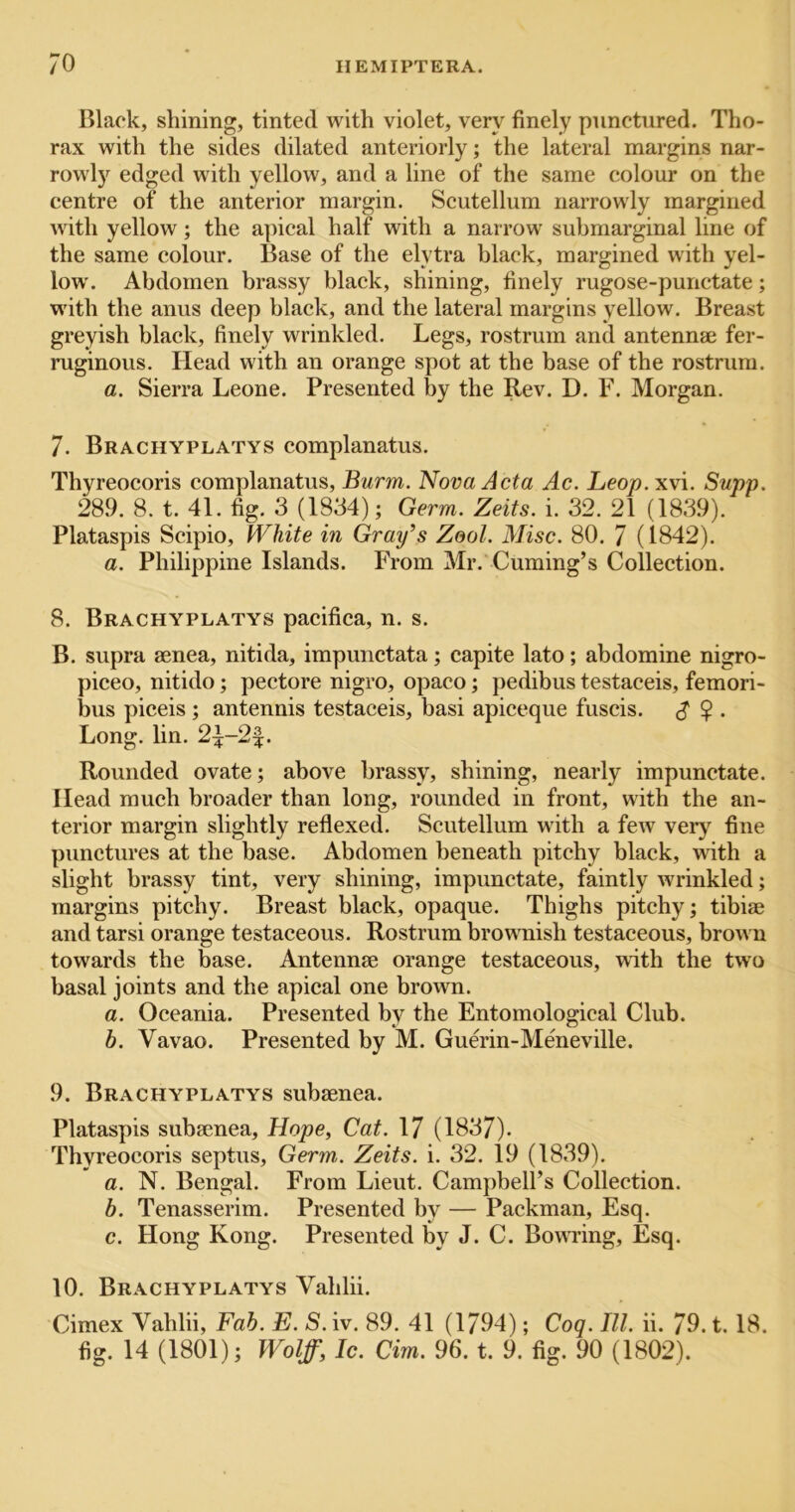 Black, shining, tinted with violet, very finely punctured. Tho- rax with the sides dilated anteriorly; the lateral margins nar- rowl}'^ edged with yellow, and a line of the same colour on the centre of the anterior margin. Scutellum narrowly margined Avith yellow; the apical half with a narrow submarginal line of the same colour. Base of the elytra black, margined with yel- low. Abdomen brassy black, shining, finely rugose-punctate; with the anus deep black, and the lateral margins yellow. Breast greyish black, finely wrinkled. Legs, rostrum and antennae fer- ruginous. Head with an orange spot at the base of the rostrum. a. Sierra Leone. Presented by the Rev. D. F. Morgan. 7. Brachyplatys complanatus. Thyreocoris complanatus, Burm. Nova Acta Ac. Leop. xvi. Supp. 289. 8. t. 41. fig. 3 (1834); Germ. Zeits. i. 32. 21 (1839). Plataspis Scipio, White in Graphs Zool. Misc. 80. 7 (1842). a. Philippine Islands. From Mr. Cuming’s Collection. 8. Brachyplatys pacifica, n. s. B. supra aenea, nitida, impunctata; capite lato; abdomine nigro- piceo, nitido; pectore nigro, opaco; pedibus testaceis, femori- bus piceis ; antennis testaceis, basi apiceque fuscis. ? • Long. lin. 2;^-2|:. Rounded ovate; above brassy, shining, nearly impunctate. Head much broader than long, rounded in front, with the an- terior margin slightly reflexed. Scutellum with a few verj^ fine punctures at the base. Abdomen beneath pitchy black, with a slight brassy tint, very shining, impunctate, faintly wrinkled; margins pitchy. Breast black, opaque. Thighs pitchy; tibiae and tarsi orange testaceous. Rostrum brownish testaceous, brown towards the base. Antennae orange testaceous, with the two basal joints and the apical one brown. a. Oceania. Presented by the Entomological Club. b. Vavao. Presented by M. Guerin-Meneville. 9. Brachyplatys subaenea. Plataspis subaenea, Hope, Cat. 17 (1837). Thyreocoris septus. Germ. Zeits. i. 32. 19 (1839). a. N. Bengal. From Lieut. Campbell’s Collection. b. Tenasserim. Presented by — Packman, Esq. c. Hong Kong. Presented by J. C. Bowring, Esq. 10. Brachyplatys Vahlii. Cimex Vahlii, Fab. E. S. iv. 89. 41 (1794); Coq. III. ii. 79. t. 18. fig. 14 (1801); Wolf, Ic. dm. 96. t. 9. fig. 90 (1802).