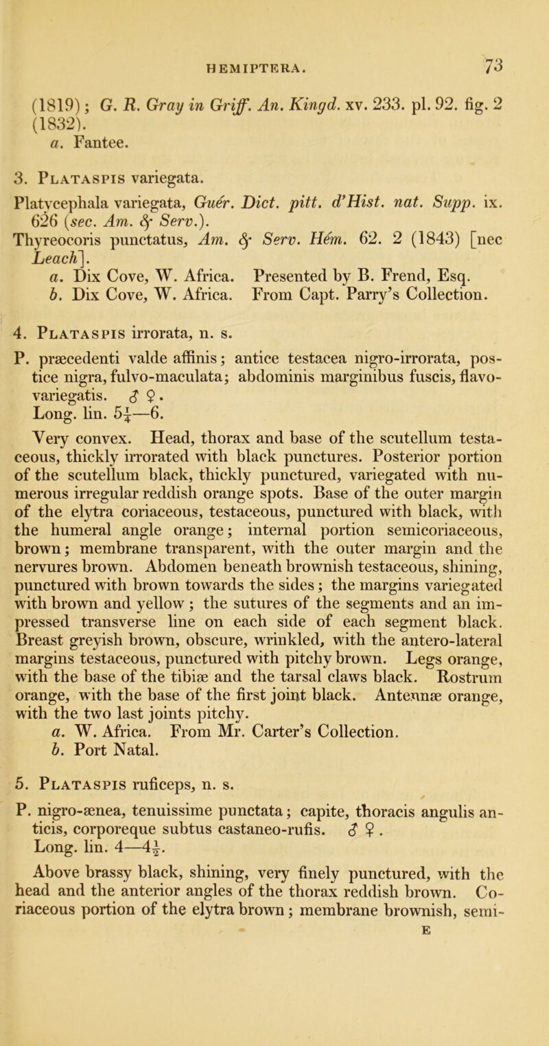 (1819); G. R. Gray in Griff. An. Kingd. xv. 233. pi. 92. fig. 2 (1832). a. Fantee. 3. Plataspis variegata. Platycephala variegata, Guer. Diet. pitt. d'Hist. nat. Supp. ix. 626 {sec. Am. Serv.). Thyreocoris punctatus. Am. ^ Serv. Hem. 62. 2 (1843) [nec Leach~\. a. Dix Cove, W. Africa. Presented by B. Frend, Esq. b. Dix Cove, W. Africa. From Capt. Parry’s Collection. 4. Plataspis irrorata, n. s. P. praecedenti valde affinis; antice testacea nigro-irrorata, pos- tice nigra, fulvo-maculata; abdominis marginibus fuscis, flavo- variegatis. S 9 • Long. bn. 5|—6. Very convex. Head, thorax and base of the scutellum testa- ceous, thickly irrorated with black punctures. Posterior portion of the scutellum black, thickly punctured, variegated with nu- merous irregular reddish orange spots. Base of the outer margin of the elytra coriaceous, testaceous, punctured with black, with the humeral angle orange; internal portion semicoriaceous, brown; membrane transparent, with the outer margin and the nervures brown. Abdomen beneath brownish testaceous, shining, punctured with brown towards the sides; the margins variegated with brown and yellow ; the sutures of the segments and an im- pressed transverse line on each side of each segment black. Breast greyish brown, obscure, wrinkled, with the antero-lateral margins testaceous, punctured with pitchy brown. Legs orange, with the base of the tibiae and the tarsal claws black. Rostrum orange, with the base of the first joint black. Antennae orange, with the two last joints pitchy. a. W. Africa. From Mr. Carter’s Collection. b. Port Natal. 5. Plataspis ruficeps, n. s. P. nigro-aenea, tenuissime punctata; capite, thoracis angulis an- ticis, corporeque subtus castaneo-rufis. <? ? . Long. lin. 4—4^. Above brassy black, shining, very finely punctured, with the head and the anterior angles of the thorax reddish brown. Co- riaceous portion of the elytra brown; membrane brownish, semi- E