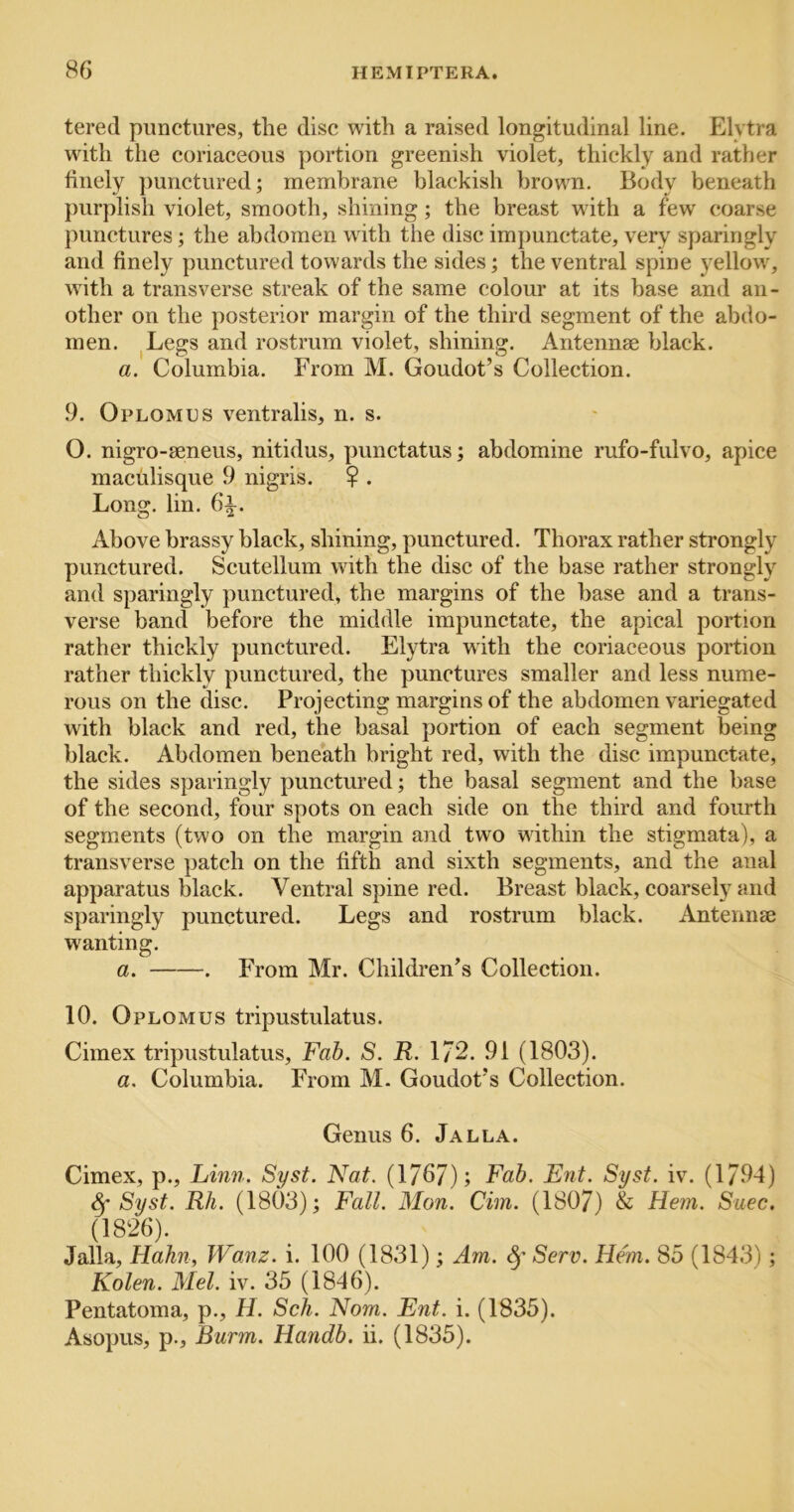 tered punctures, the disc with a raised longitudinal line. Elytra with the coriaceous portion greenish violet, thickly and rather finely ])unctured; membrane blackish browm. Body beneath purplish violet, smooth, shining; the breast wdth a few coarse punctures; the abdomen with the disc imjiunctate, very sparingly and finely punctured towards the sides; the ventral spine yellowy with a transverse streak of the same colour at its base and an- other on the posterior margin of the third segment of the abdo- men. ,Legs and rostrum violet, shining. Antennae black. a. Columbia. From M. Goudot’s Collection. 9. Oplomes ventralis, n. s. O. nigro-aeneus, nitidus, punctatus; abdomine rufo-fulvo, apice maculisque 9 nigris. ? . Long. lin. 6i. Above brassy black, shining, punctured. Thorax rather strongly punctured. Scutellum with the disc of the base rather strongly and sparingly punctured, the margins of the base and a trans- verse band before the middle impunctate, the apical portion rather thickly punctured. Elytra with the coriaceous portion rather thickly punctured, the punctures smaller and less nume- rous on the disc. Projecting margins of the abdomen variegated with black and red, the basal portion of each segment being black. Abdomen beneath bright red, with the disc impunctate, the sides sparingly punctured; the basal segment and the base of the second, four spots on each side on the third and fourth segments (two on the margin and two within the stigmata), a transverse patch on the fifth and sixth segments, and the anal apparatus blaek. Ventral spine red. Breast black, coarsely and sparingly punctured. Legs and rostrum black. Anteimse wanting. a. . From Mr. Children’s Collection. 10. Oplomus tripustulatus. Cimex tripustulatus, Fah. S. R. 172. 91 (1803). a, Columbia. From M. Goudot’s Collection. Genus 6. Jalla. Cimex, p., Linn. Syst. Nat. (1767); Fab. Ent. Syst. iv. (1794) ^ Syst. Rh. (1803); Fall. Mon. dm. (1807) & Hem. Suec. (1826). Jalla, Hahn, Wanz. i. 100 (1831); Am. Serv. Hem. 85 (1843); Kolen. Mel. iv. 35 (1846). Pentatoma, p., H. Sch. Nom. Ent. i. (1835). Abopus, p., Burm. Handb. ii. (1835).