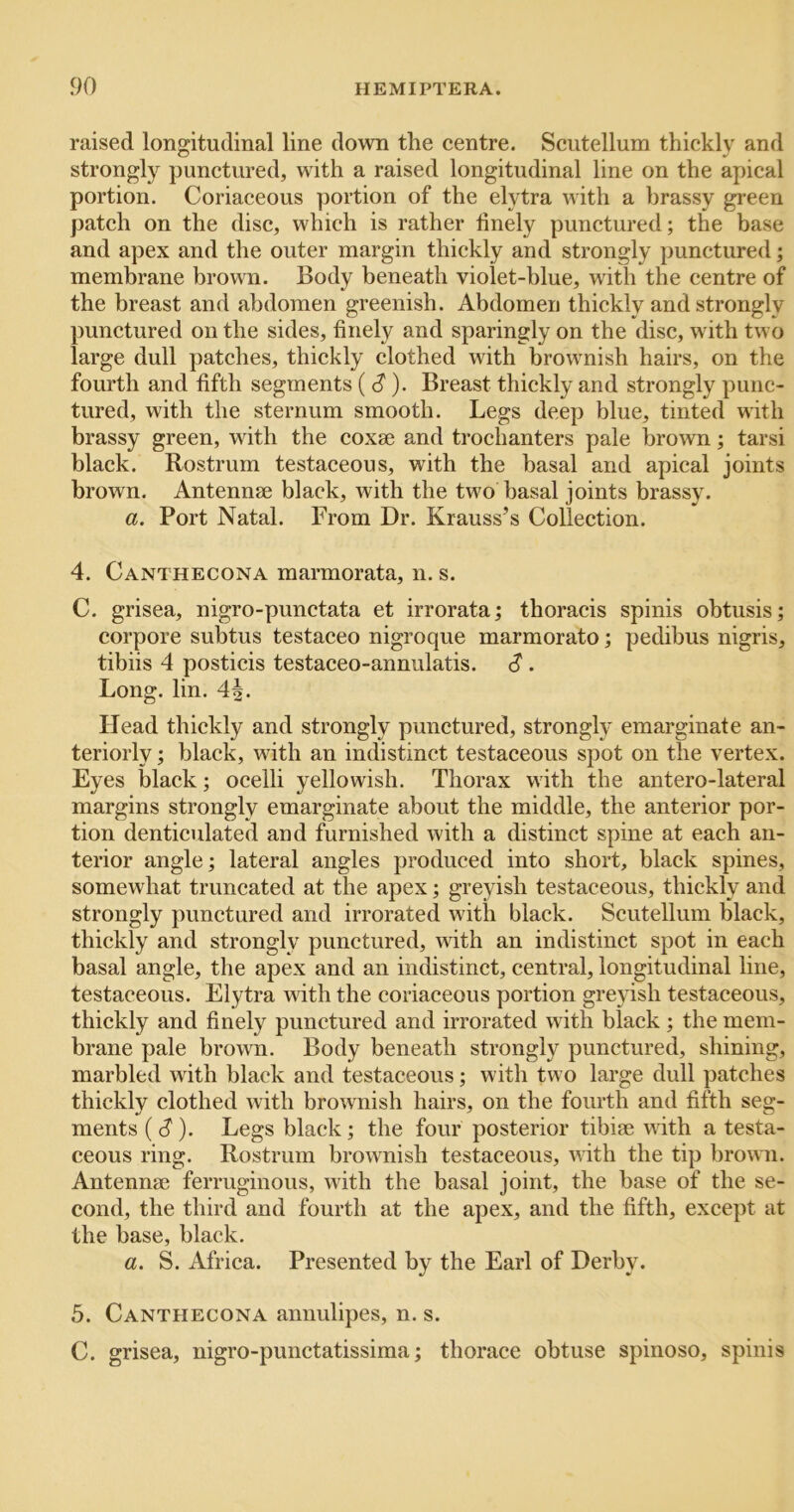 raised longitudinal line down the centre. Scutellum thickly and strongly punctured, with a raised longitudinal line on the apical portion. Coriaceous portion of the elytra with a brassy green patch on the disc, which is rather finely punctured; the base and apex and the outer margin thickly and strongly punctured; membrane brown. Body beneath violet-blue, with the centre of the breast and abdomen greenish. Abdomen thickly and strongly punctured on the sides, finely and sparingly on the disc, with two large dull patches, thickly clothed with brownish hairs, on the fourth and fifth segments ( S )• Breast thickly and strongly punc- tured, with the sternum smooth. Legs deep blue, tinted with brassy green, with the coxae and trochanters pale brown; tarsi black. Rostrum testaceous, with the basal and apical joints brown. Antennae black, with the two basal joints brassy. a. Port Natal. From Dr. Krauss’s Collection. 4. Canthecona marmorata, n. s. C. grisea, nigro-punctata et irrorata; thoracis spinis obtusis; corpore subtus testaceo nigroque marmorato; pedibus nigris, tibiis 4 posticis testaceo-annulatis. c? . Long. lin. 4|. Head thickly and strongly punctured, strongly emarginate an- teriorly ; black, with an indistinct testaceous spot on the vertex. Eyes black; ocelli yellowish. Thorax with the antero-lateral margins strongly emarginate about the middle, the anterior por- tion denticulated and furnished with a distinct spine at each an- terior angle; lateral angles produced into short, black spines, somewhat truncated at the apex; greyish testaceous, thickly and strongly punctured and irrorated with black. Scutellum black, thickly and strongly punctured, with an indistinct spot in each basal angle, the apex and an indistinct, central, longitudinal line, testaceous. Elytra with the coriaceous portion greyish testaceous, thickly and finely punctured and irrorated with black; the mem- brane pale brown. Body beneath strongly punctured, shining, marbled with black and testaceous; with two large dull patches thickly clothed with brownish hairs, on the fourth and fifth seg- ments (c? ). Legs black; the four posterior tibiae wdth a testa- ceous ring. Rostrum brownish testaceous, wdth the tip brown. Antennae ferruginous, with the basal joint, the base of the se- cond, the third and fourth at the apex, and the fifth, except at the base, black. a. S. Africa. Presented by the Earl of Derby. 5. Canthecona annulipes, n. s. C. grisea, nigro-punctatissima; thorace obtuse spinoso, spinis
