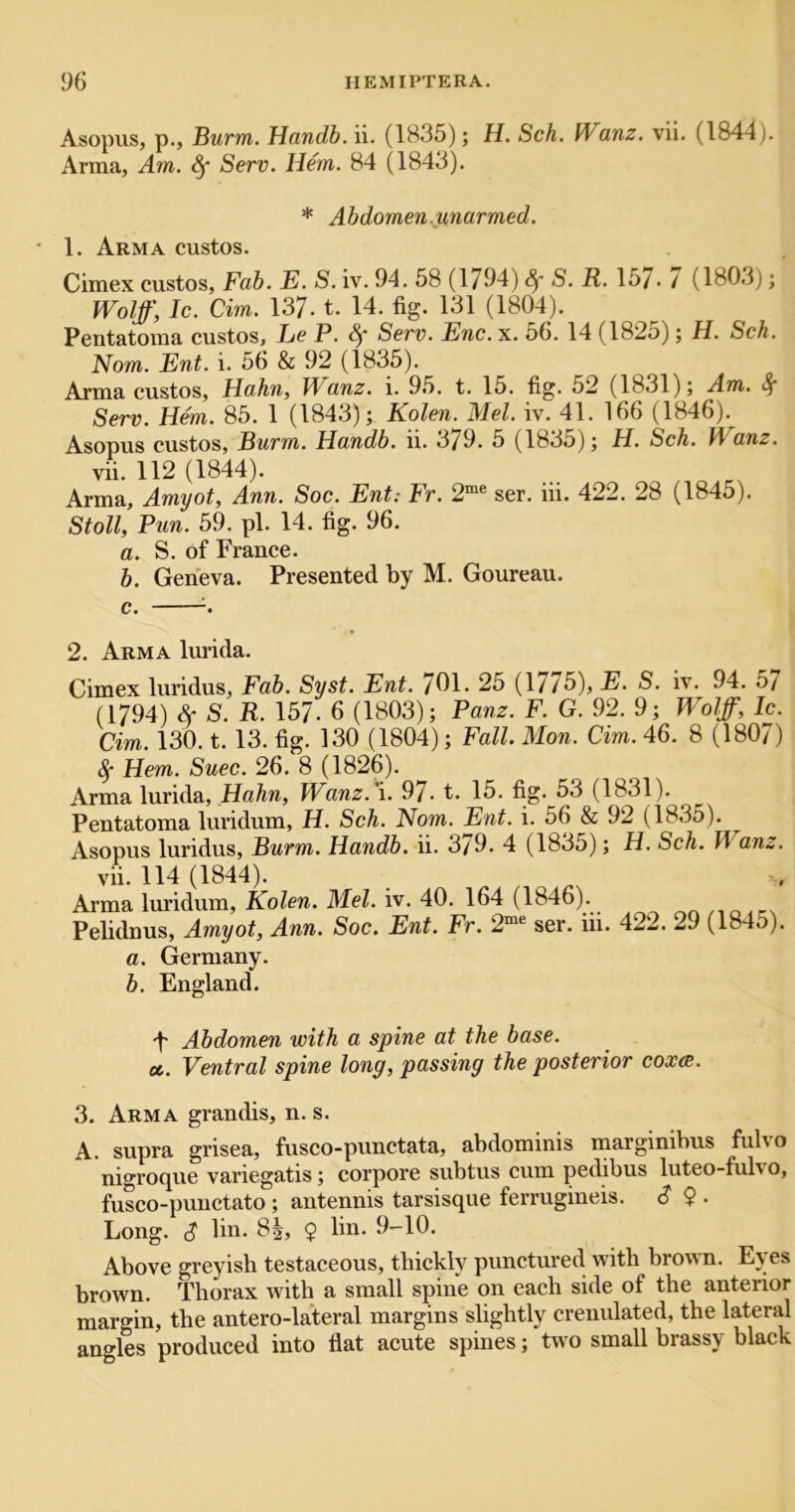 Asopus, p., Burm. Handb. ii. (1835); H. Sch. Wanz. vii. (1844). Arma, Am. ^ Serv. Hem. 84 (1843). * Abdomen.unarmed. 1. Arma custos. Cimex custos, Fab. E. S. iv. 94. 58 (1794) ^ S. R. 15/. / (1803); Wolff, Ic. dm. 137. t. 14. fig. 131 (1804). Pentatoma custos, Le P. Sf Serv. Enc. x. 56. 14 (1825); H. Sch. Nom. Ent. i. 56 & 92 (1835). Ai’ina custos, Hahn, Wanz. i. 95. t. 15. fig. 52 (1831); Am. 4* Serv. Hem. 85. 1 (1843); Kolen. Mel. iv. 41. 166 (1846).^ Asopus custos, Burm. Handb. li. 3/9. 5 (1835); H. Sch. Pf anz. vii. 112 (1844). Arma, Amyot, Ann. Soc. Ent: Fr. 2“® ser. iii. 422. 28 (1845). Stoll, Pun. 59. pi. 14. fig. 96. a. S. of France. b. Geneva. Presented by M. Goureau. c. 2. Arma lurida. Cimex luridus. Fab. Syst. Ent. /Ol. 25 (17/5), E. S. iv. 94. 57 (1794) Sf S. R. 157. 6 (1803); Panz. F. G. 92. 9; Wolff, Ic. dm. 130. t. 13. fig. 130 (1804); Fall. Mon. dm. 46. 8 (1807) 4* Hem. Suec. 26. 8 (1826). Arma lurida, ,Hahn, Wanz. i. 97* t. 15. fig. 53 (1831). Pentatoma luridum, H. Sch. Nom. Ent. i. 56 & 92 (1835). Asopus luridus, Burm. Handb. ii. 379. 4 (1835); H. Sch. Wanz. vii. 114 (1844). Arma luridum, Kolen. Mel. iv. 40. 164 (1846). Pelidnus, Amyot, Ann. Soc. Ent. Fr. 2“® ser. iii. 422. 29 (1845). a. Germany. b. England. A Abdomen with a spine at the base. ct. Ventral spine long, passing the posterior coxce. 3. Arma grandis, n. s. A. supra grisea, fusco-punctata, abdominis marginibus fulvo nigroque variegatis; corpore subtus cum pedibus luteo-fulvo, fusco-puuctato; antennis tarsisque ferrugineis. S $ . Long. S liii- 9 Above greyish testaceous, thickly punctured with brown. Eyes brown. Thorax with a small spine on each side of the anterior margin, the antero-lateral margins slightly crenulated, the lateral angles produced into flat acute spines; two small brassy black