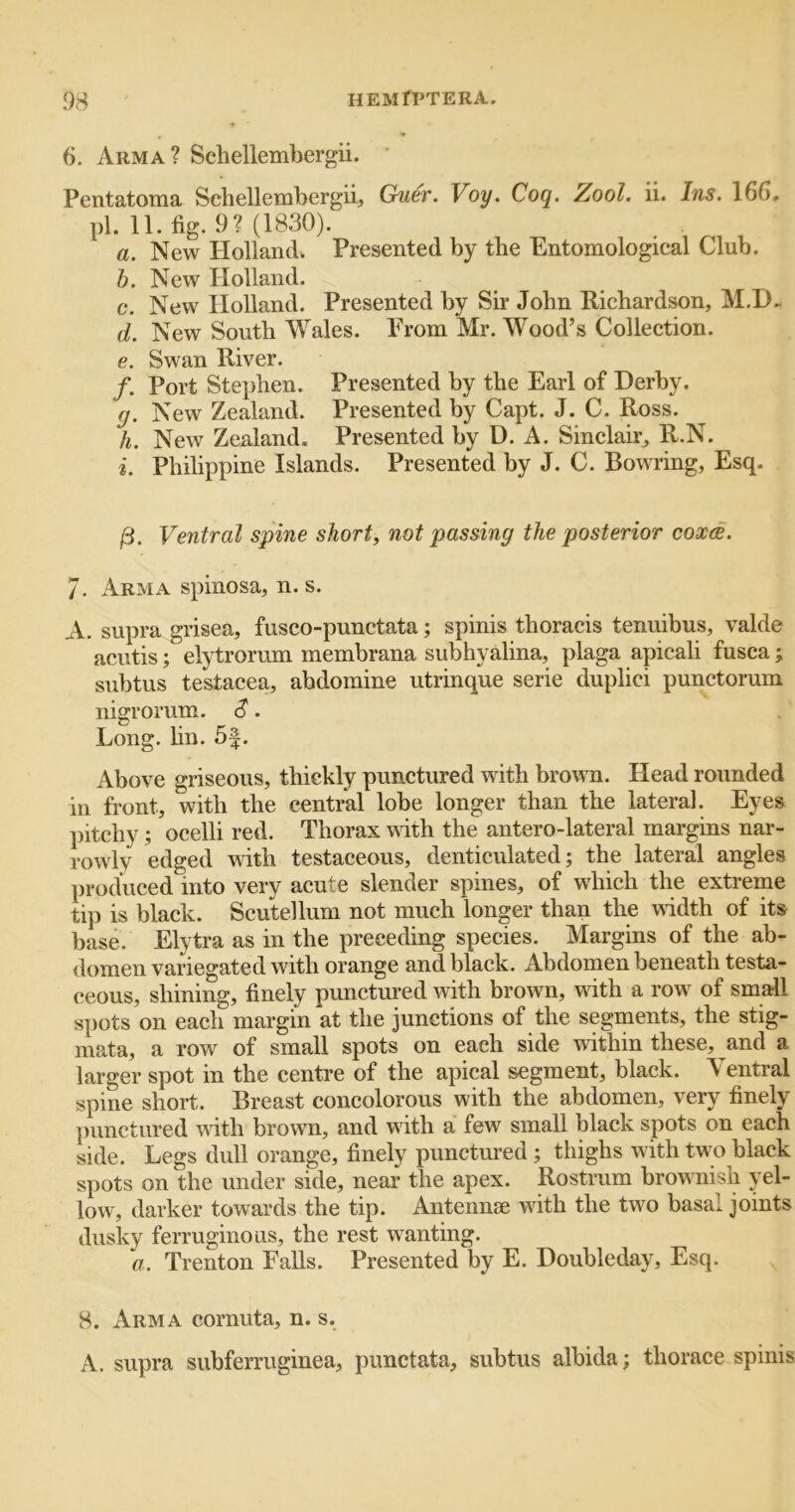 6. Arma? Sehellembergii. Pentatoma Sehellembergii, Guer. Voy. Coq. Zool. ii. Ins. 16G, pi. 11. fig. 9? (1830). a. New Holland. Presented by the Entomological Club. h. New Holland. c. New Holland. Presented by Sir John Richardson, M.D.. d. New South Wales. Erom Mr. Wood’s Collection. e. Swan River. /. Port Stephen. Presented by the Earl of Derby. fj. New Zealand. Presented by Capt. J. C. Ross. h. New Zealand. Presented by D. A. Sinclair, R.N. i. Philippine Islands. Presented by J. C. Bowring, Esq. Ventral spine shorty not passing the posterior coxce. 7. Arma spinosa, n. s. A. supra grisea, fusco-punctata; spinis thoracis tenuibus, valde acutis; elytrorum membrana subhyalina, plaga apicali fusca; subtus testacea, abdomine utrinque serie duplici punctorum nigrorum. c?. Long. lin. 5|. Above griseous, thickly punctured with brown. Head rounded in front, with the central lobe longer than the lateral. Eyes pitchy; ocelli red. Thorax with the antero-lateral margins nar- rowly edged with testaceous, denticulated; the lateral angles produced into very acute slender spines, of which the extreme tip is black. Scutellum not much longer than the width of its base. Elytra as in the preceding species. Margins of the ab- domen variegated with orange and black. Abdomen beneath testa- ceous, shining, finely punctured with brown, with a roiv of small spots on each margin at the junctions of the segments, the stig- mata, a row of small spots on each side within these, and a larger spot in the centre of the apical segment, black. Yentral spine short. Breast concolorous with the abdomen, very finely punctured with brown, and with a few small black spots on each side. Legs dull orange, finely punctured ; thighs with tw o black spots on the under side, near the apex. Rostrum brownish yel- low, darker towards the tip. Antennse with the tw^o basal joints dusky ferruginous, the rest w^anting. a. Trenton Falls. Presented by E. Doubleday, Esq. 8. Arma cornuta, n, s. A. supra subferruginea, punctata, subtus albida; thorace spinis