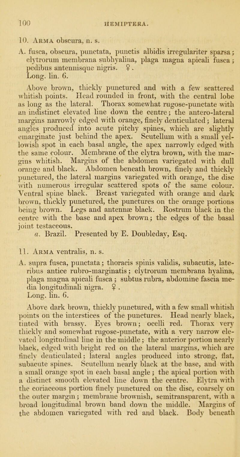10. Arma obscura, n. s. A. fusca, obscura, punctata, punctis albidis irregulariter sparsa; elytromm membrana subhyalina, plaga magna apicali fusca; pedibus antennisque nigris. ? . Long. lin. 6. Above brown, tliickly punctured and with a few scattered whitish points. Head rounded in front, with the central lobe as long as the lateral. Thorax somewhat rugose-punctate with an indistinct elevated line down the centre; the antero-lateral margins narrowly edged with orange, finely denticulated; lateral angles produced into acute pitchy spines, which are slightly emarginate just behind the apex. Scutellum with a small vel- lowish spot in each basal angle, the apex narrowly edged with the same colour. Membrane of the elytra brown, with the mar- gins whitish. Margins of the abdomen variegated with dull orange and black. Abdomen beneath browm, finely and thickly ])unctured, the lateral margins variegated with orange, the disc with numerous irregular scattered spots of the same colour. Ventral spine black. Breast variegated with orange and dark !)rown, thickly punctured, the punctures on the orange portions being brown. Legs and antennae black. Rostrum black in the centre with the base and apex browm; the edges of the basal joint testaceous. a. Brazil. Presented by E. Doubleday, Esq. 11. Arma ventralis, n. s. A. supra fusca, punctata; thoracis spinis validis, subacutis, late- ribus antice rubro-marginatis; elytromm membrana hyalina, plaga magna apicali fusca ; subtus rubra, abdomine fascia me- dia longitudinali nigra. ? . Long. lin. 6. Above dark brown, thickly punctured, with a few small whitish points on the interstices of the punctures. Head nearly black, tinted with brassy. Eyes brown; ocelli red. Thorax very thickly and somewhat rugose-punctate, with a very narrow^ ele- vated longitudinal line in the middle; the anterior portion nearly black, edged with bright red on the lateral margins, which are finely denticulated; lateral angles produced into strong, flat, subacute spines. Scutellum nearly black at the base, and with a small orange spot in each basal angle; the apical portion with a distinct smooth elevated line dowm the centre. Elytra with the coriaceous portion finely punctured on the disc, coarsely on the outer margin; membrane browmish, semitranspaient, wdth a broad longitudinal brown band down the middle. Margins of the abdomen variegated with red and black. Body beneath